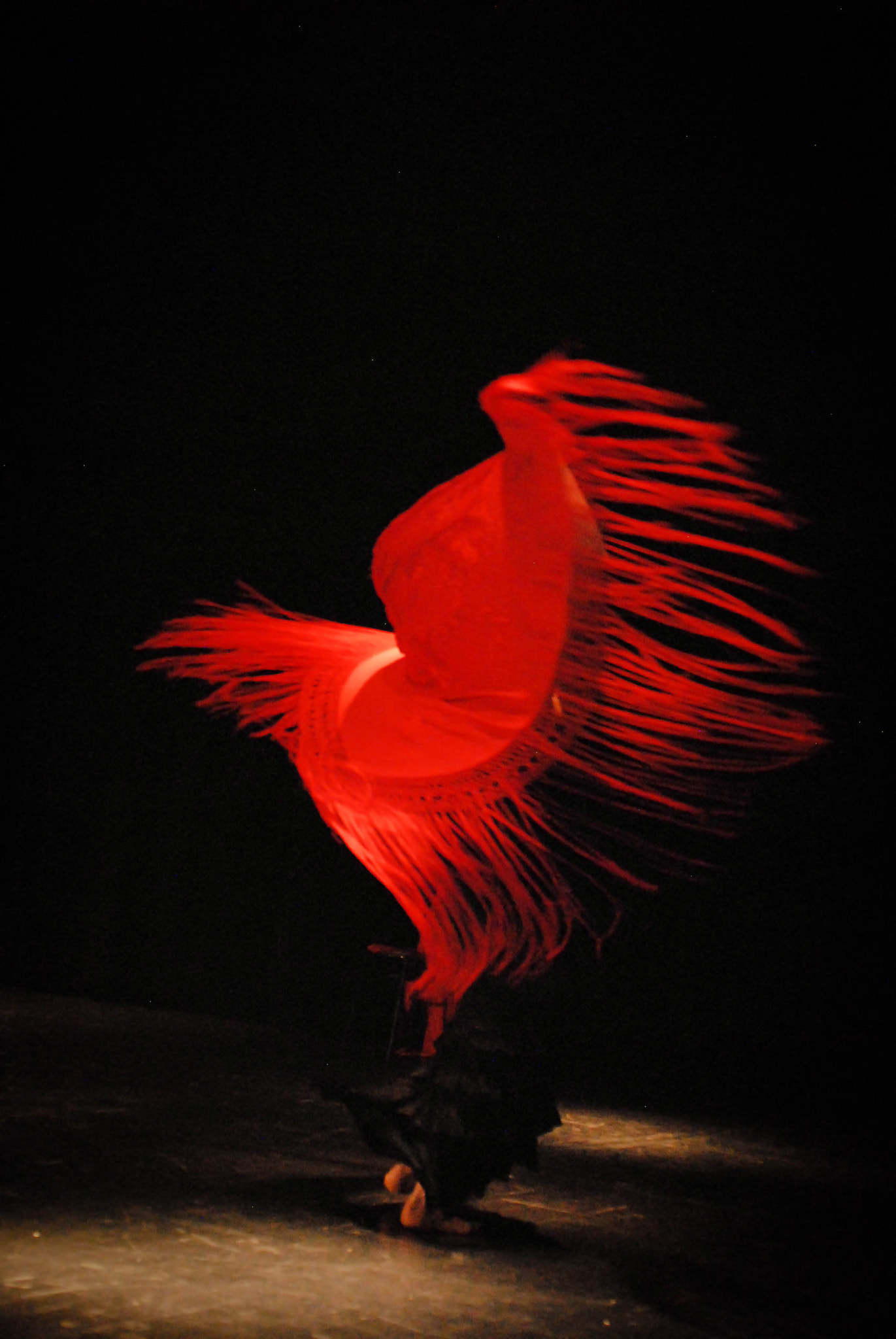 AF Zoom-Nikkor 28-85mm f/3.5-4.5 sample photo. L'envol photography