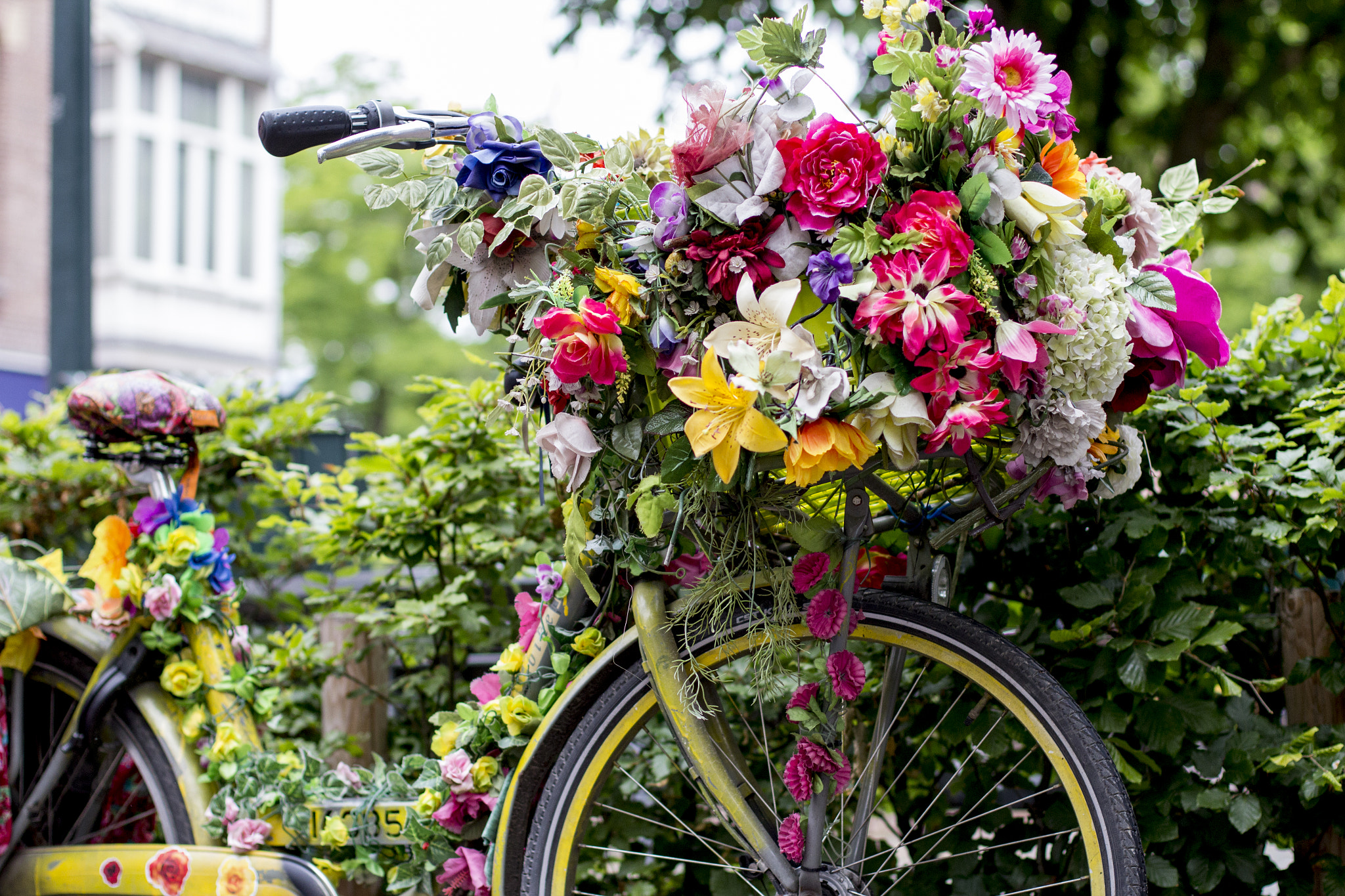 Canon EOS 600D (Rebel EOS T3i / EOS Kiss X5) + Canon EF 50mm F1.4 USM sample photo. Bikes of amsterdam photography