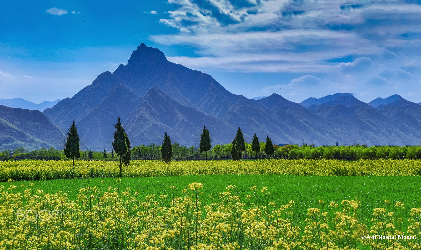 Samsung WB800F sample photo. Rapeseed field by the mountain side photography