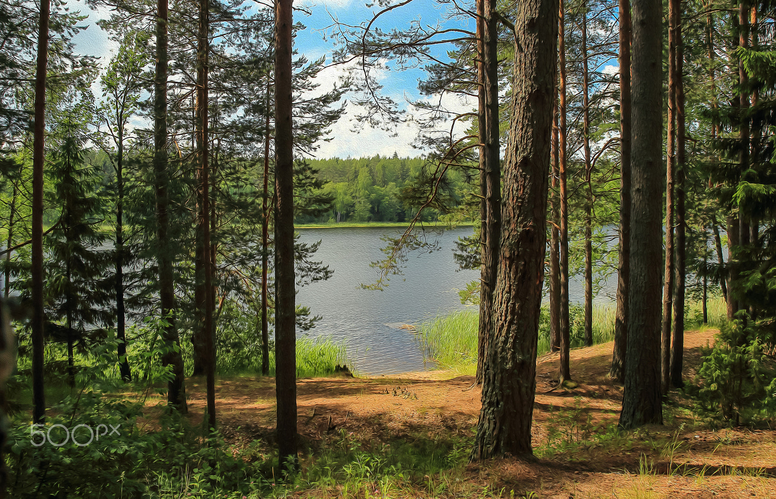 Canon EOS 6D + Canon EF 28-80mm f/2.8-4L sample photo. The lake seliger landscape_3 2016_stil photography