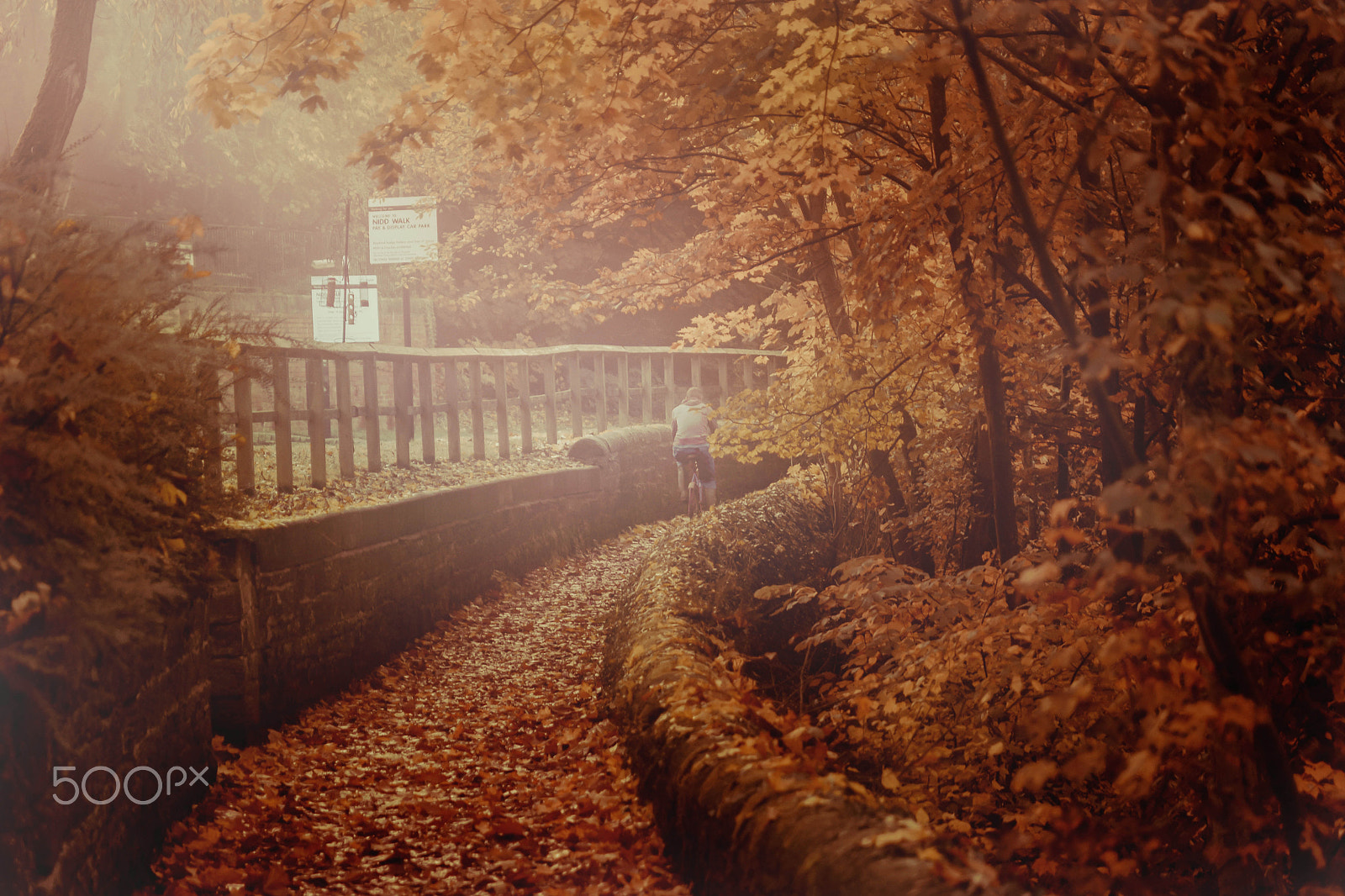 Sigma 24-70mm F2.8 EX DG HSM sample photo. Early morning cyclist photography