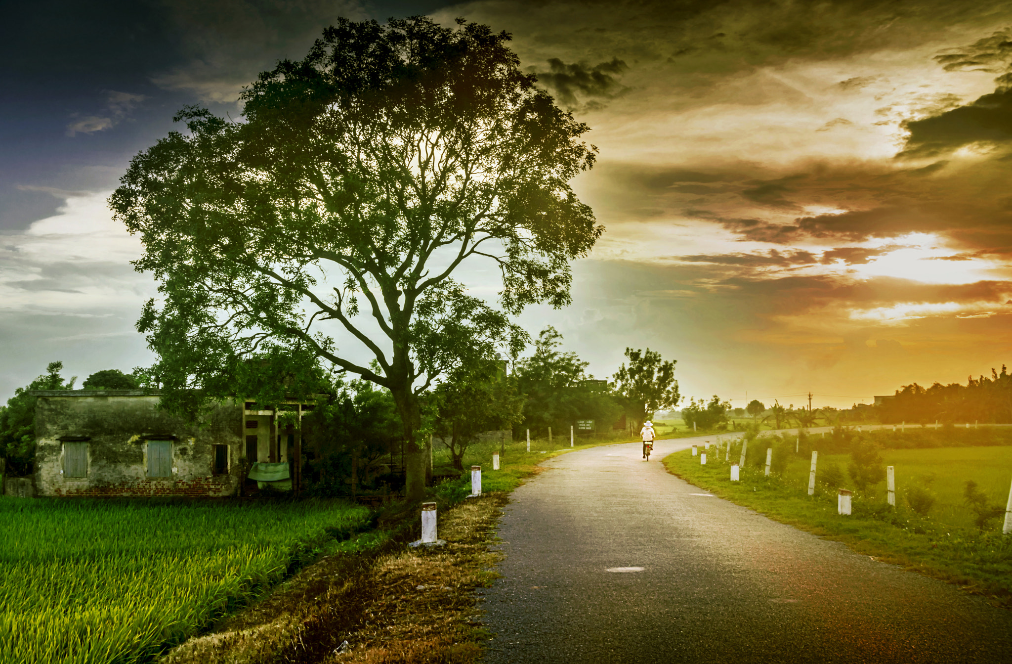 Sigma 18-250mm F3.5-6.3 DC OS HSM sample photo. Afternoon countryside. photography