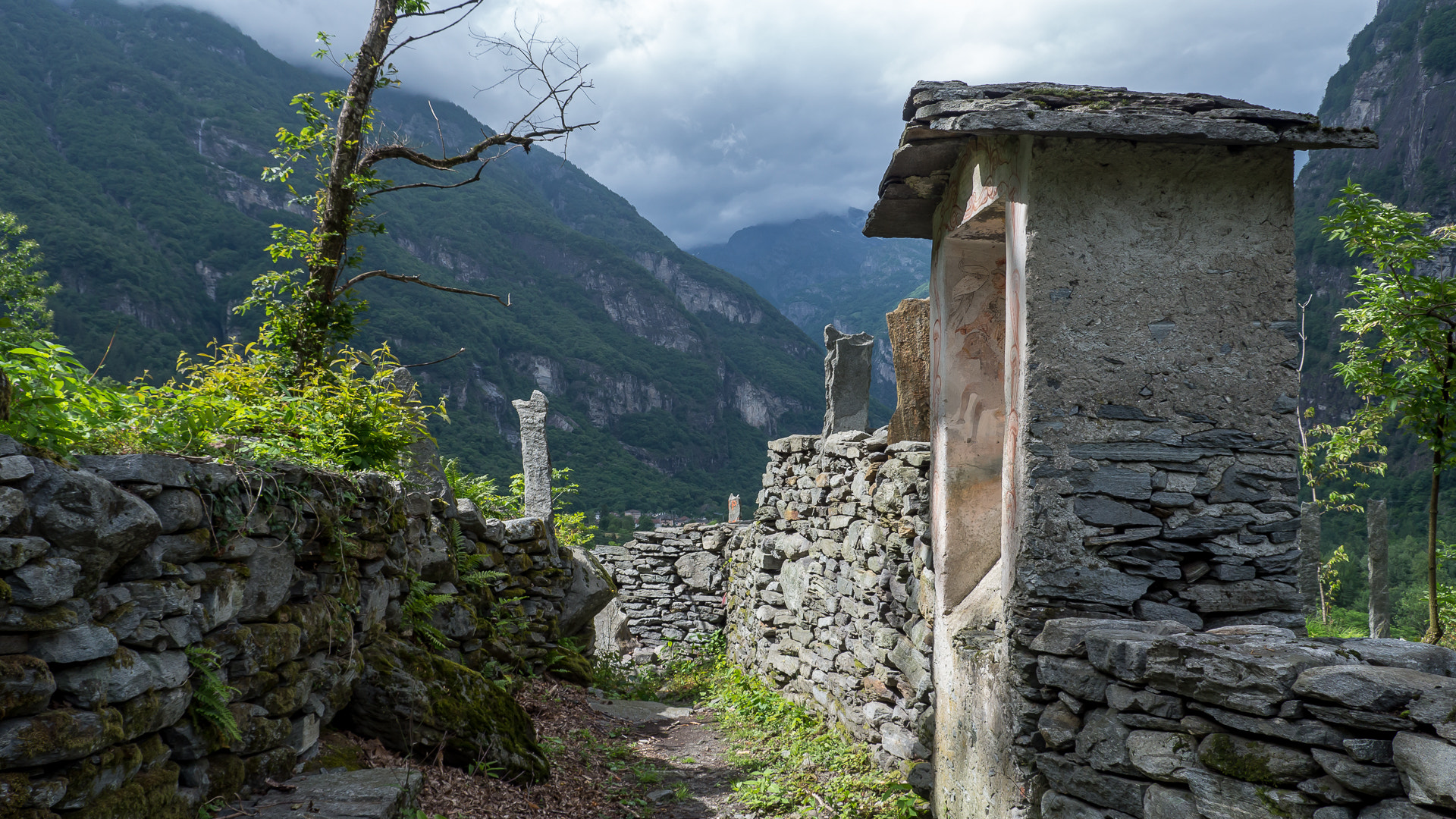 Panasonic Lumix DMC-GH3 sample photo. Buschetto photography