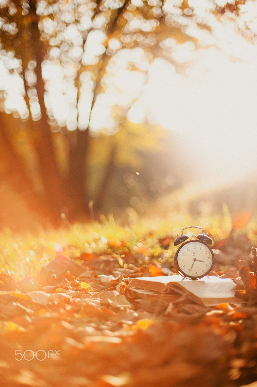 Canon EF 50mm F1.4 USM sample photo. Take your time photography