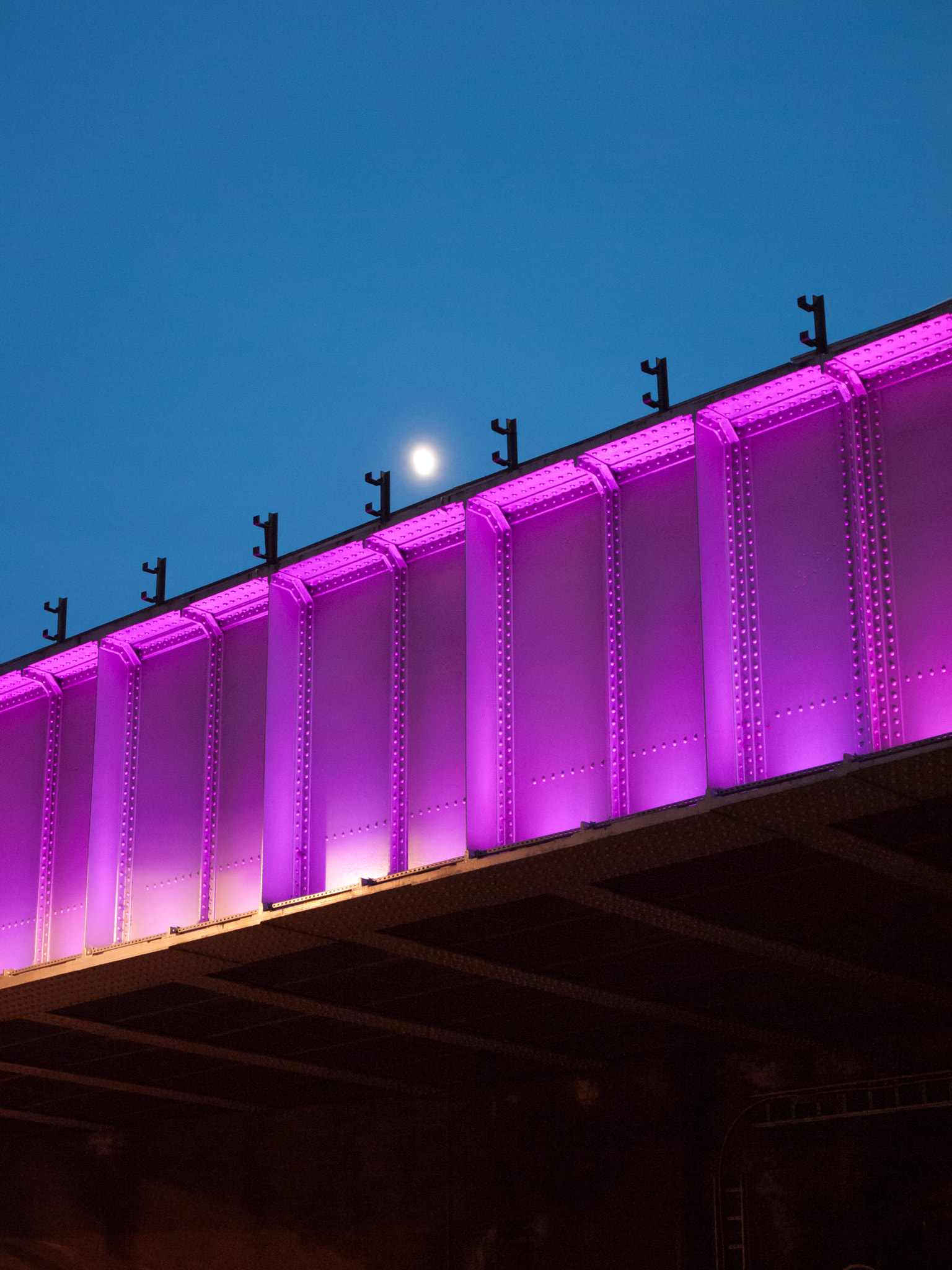 Panasonic Lumix DMC-GF1 sample photo. Pink moon photography