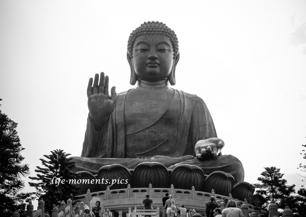 Nikon COOLPIX P4 sample photo. Big buddha statue photography