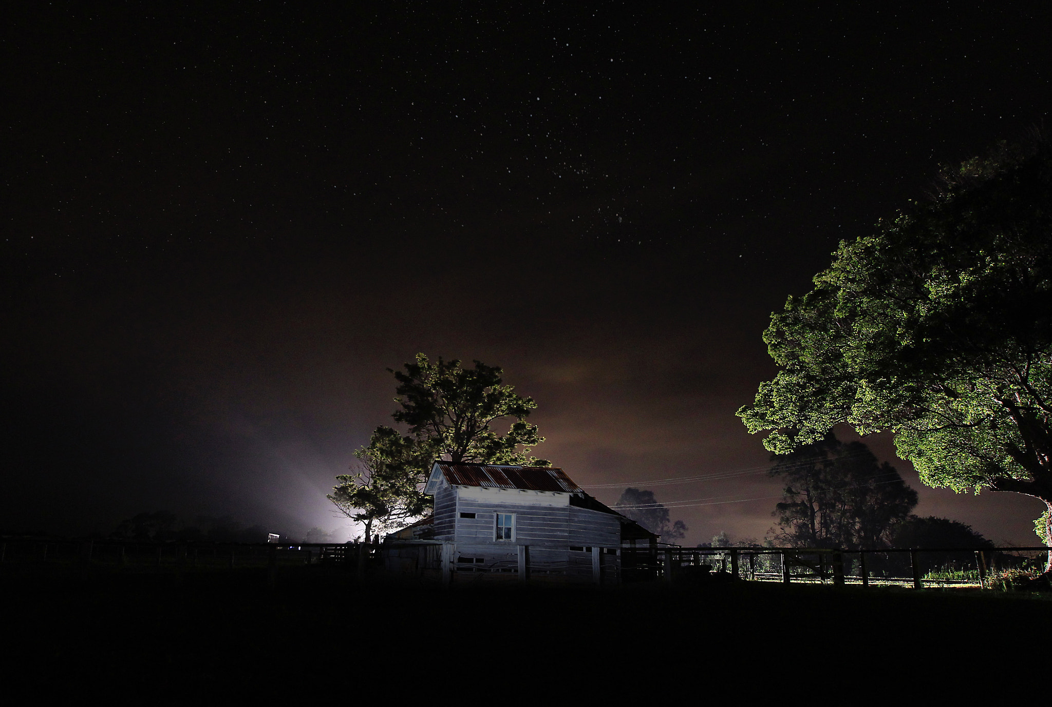 Canon EOS-1D Mark IV sample photo. Close encounters photography