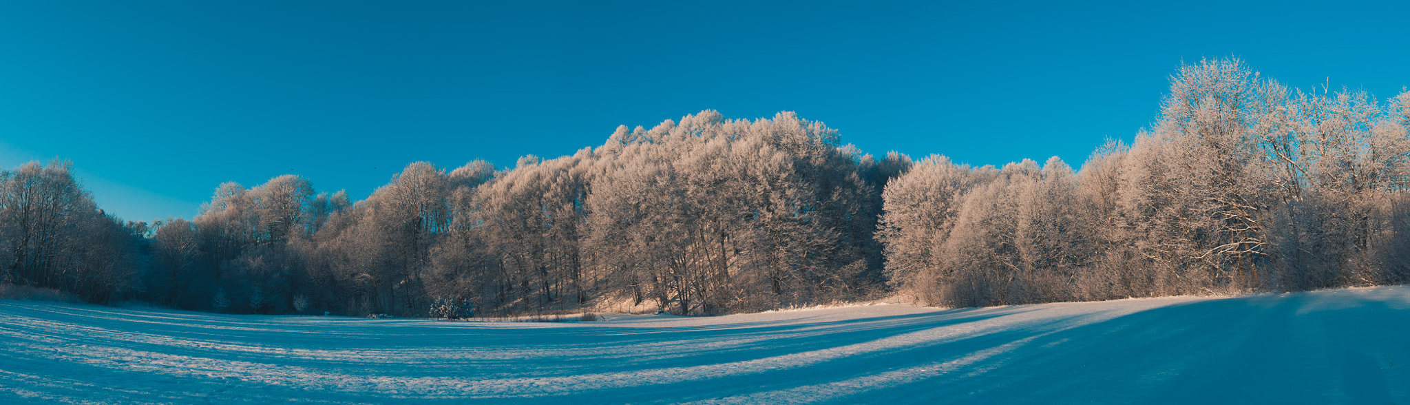 Nikon D3200 + Sigma 17-70mm F2.8-4 DC Macro OS HSM sample photo. Winter morning panorama photography