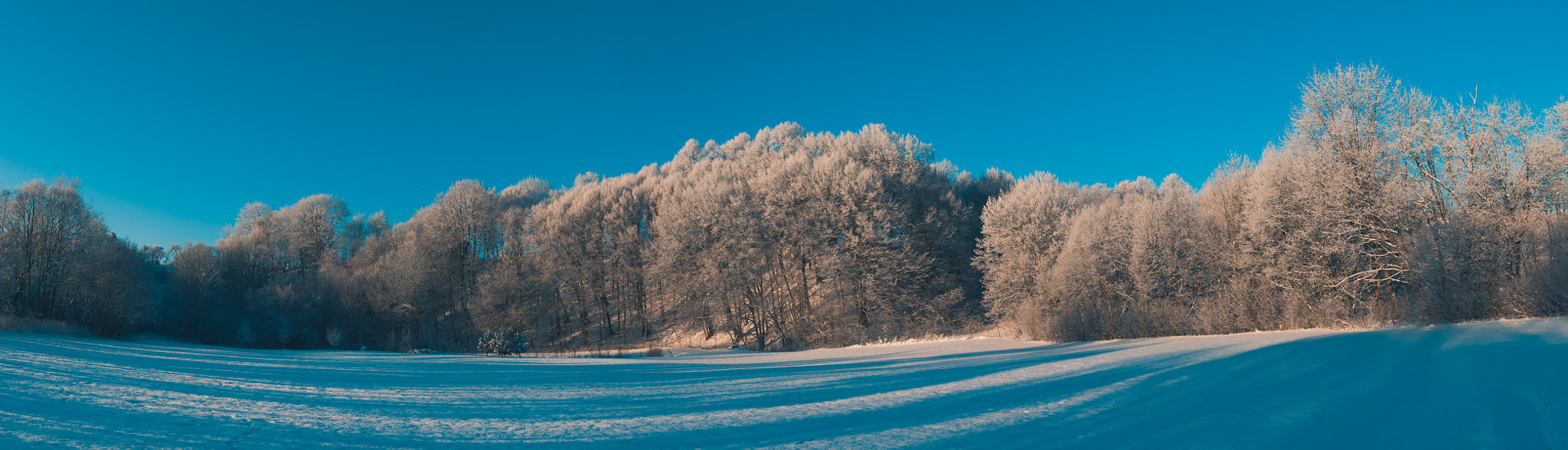 Sigma 17-70mm F2.8-4 DC Macro OS HSM sample photo. Winter morning panorama photography