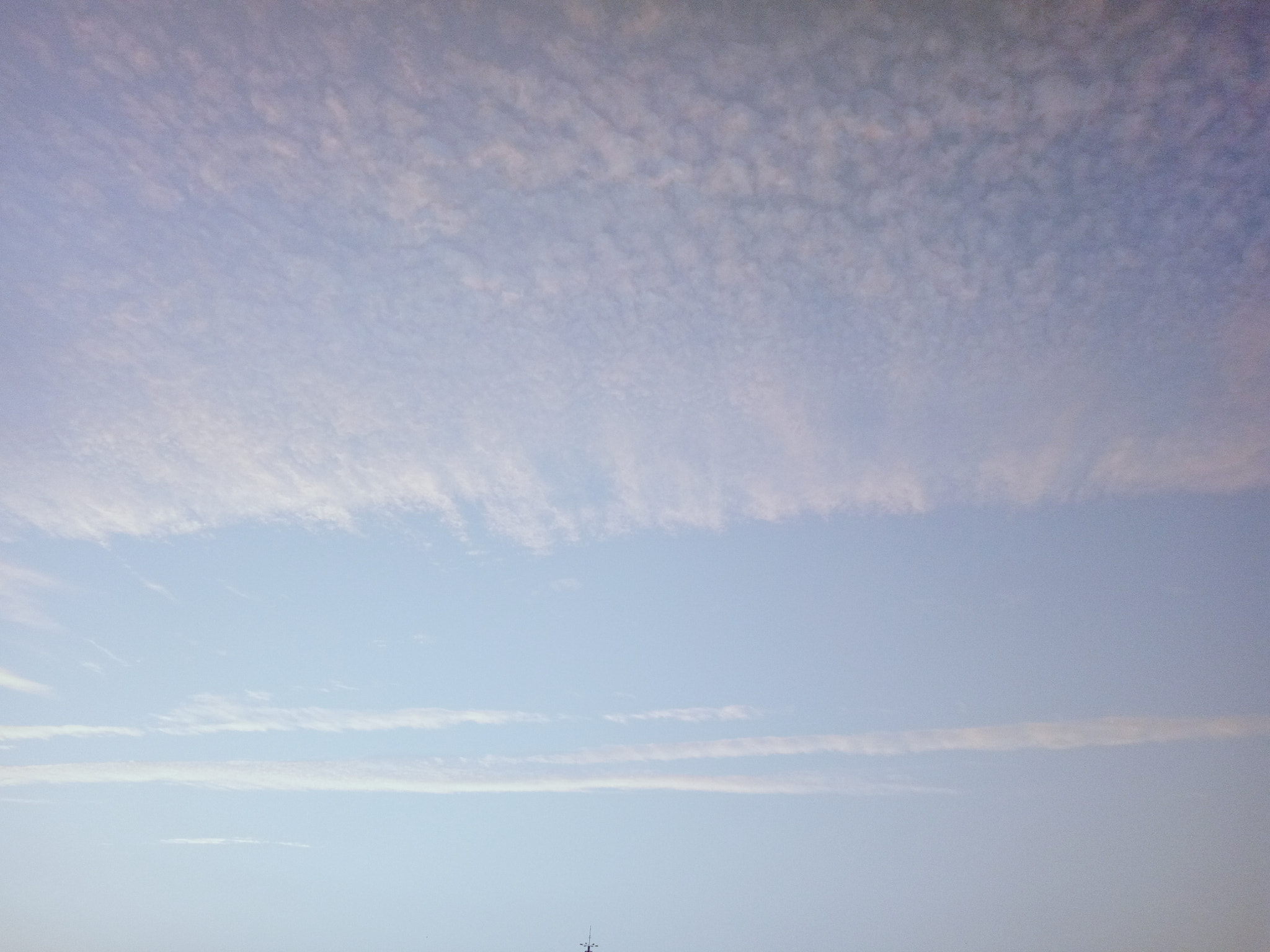 OPPO R7 sample photo. Processed with vsco photography