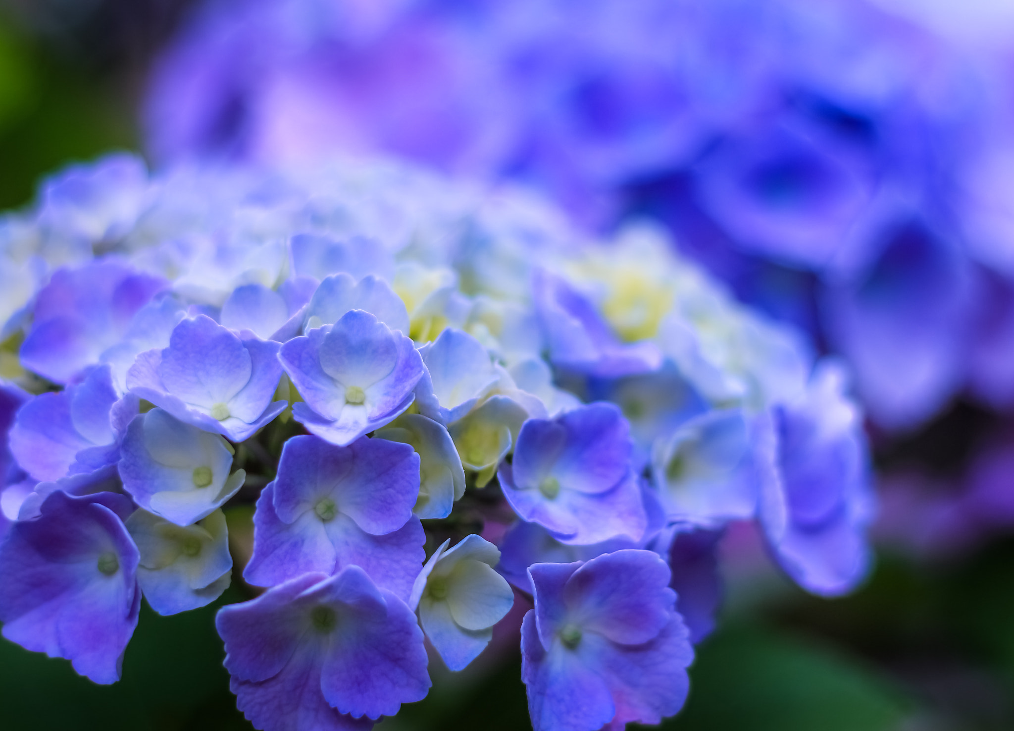 Canon EOS 650D (EOS Rebel T4i / EOS Kiss X6i) sample photo. Cooling down photography