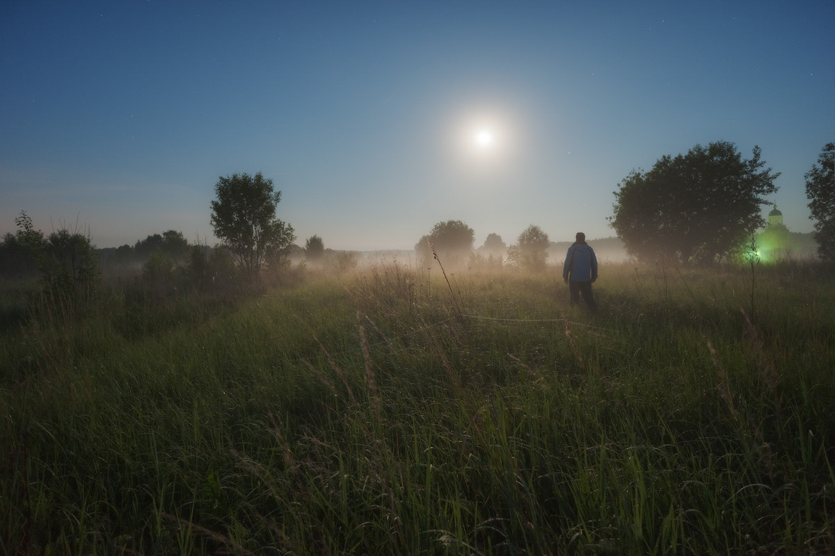Nikon D3X sample photo. Journey in the night fog... photography