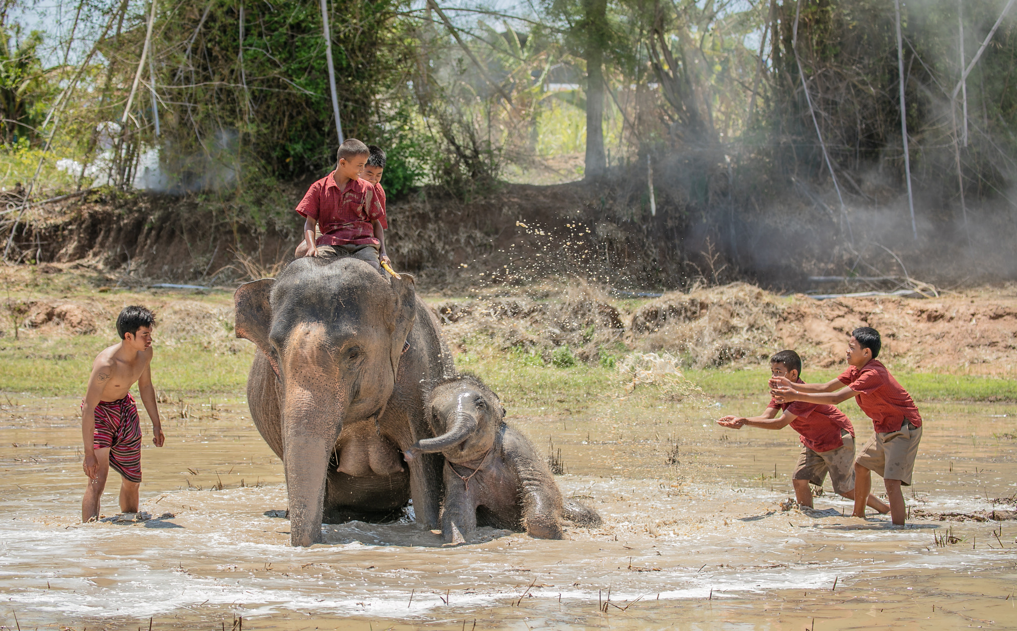 Canon EF 70-300mm F4-5.6L IS USM sample photo. Elephant in mud photography
