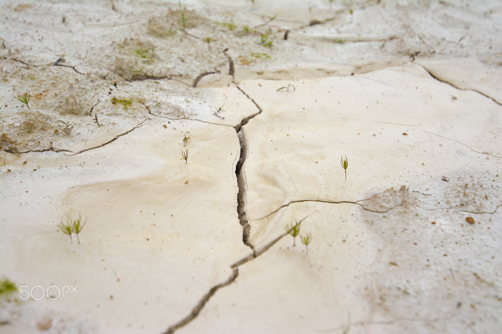 Tamron SP 15-30mm F2.8 Di VC USD sample photo. Drought, the ground cracks, no hot water, lack of moisture. photography