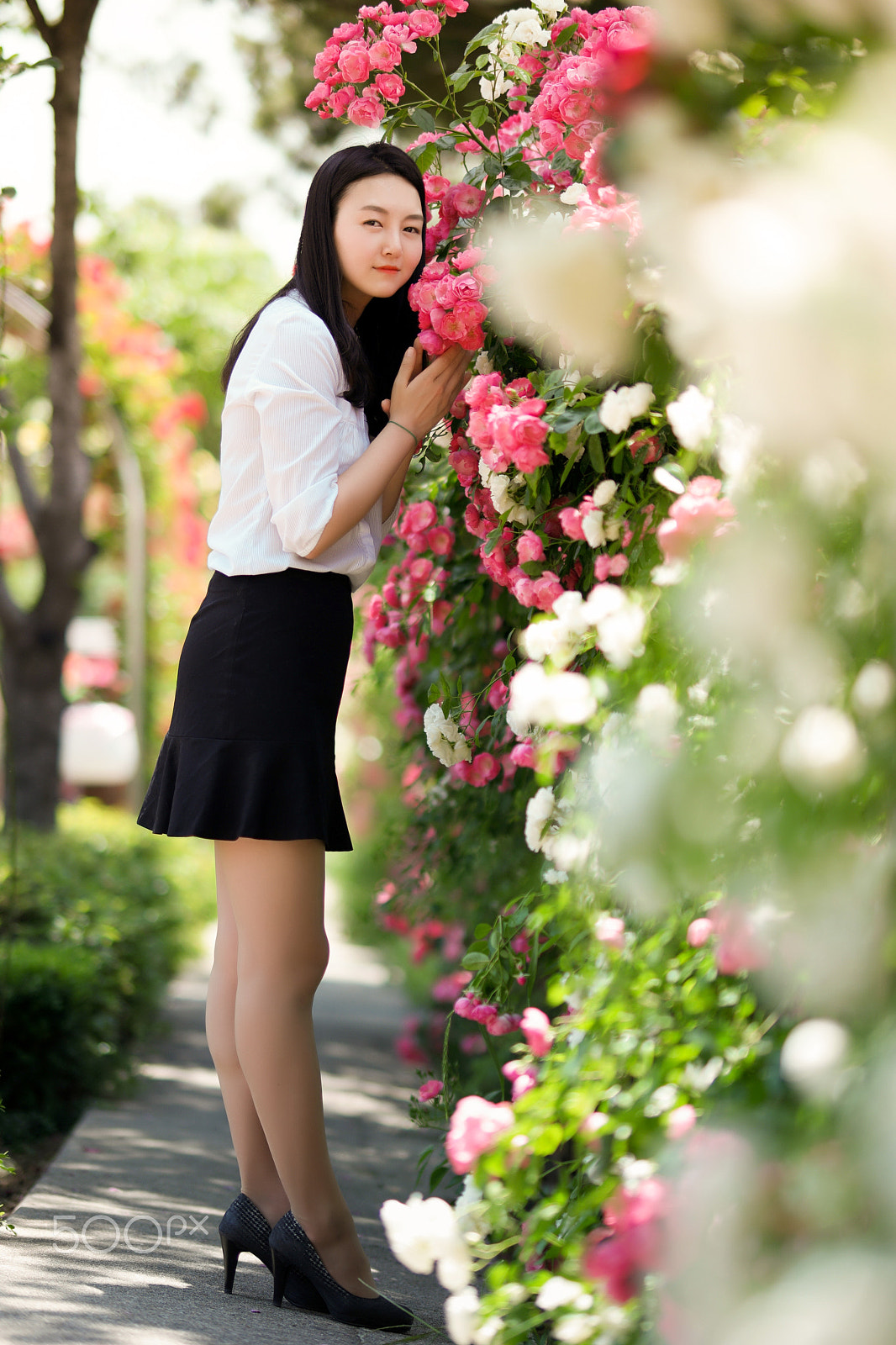 Samsung NX 85mm F1.4 ED SSA sample photo. 2016's seoul roses festival. photography