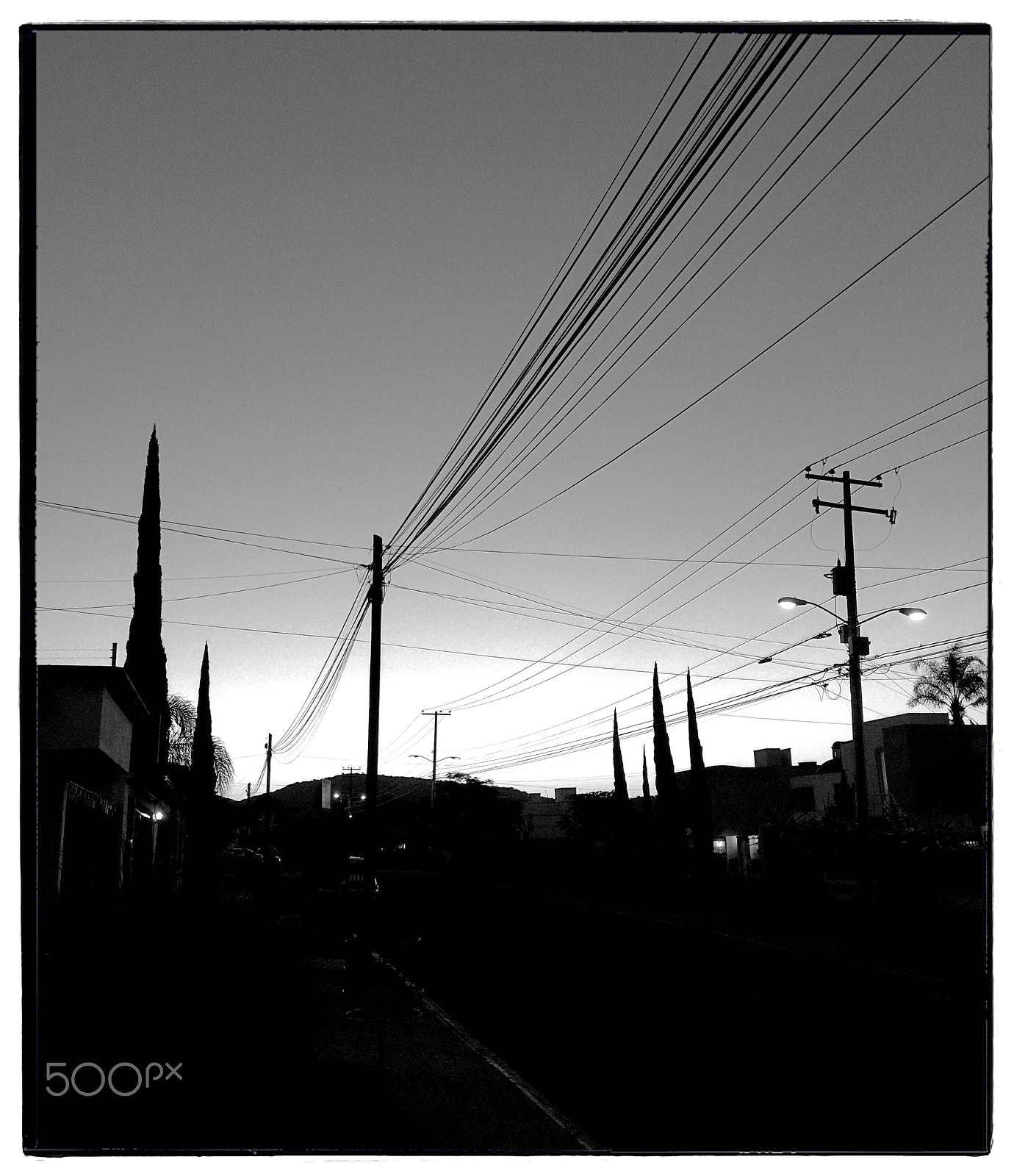 Jag.gr 6x7 for iPhone sample photo. Web of dawn photography
