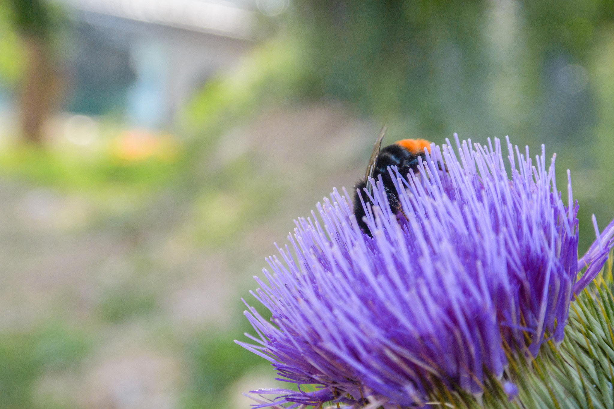 Nikon 1 J3 sample photo. Working hard photography