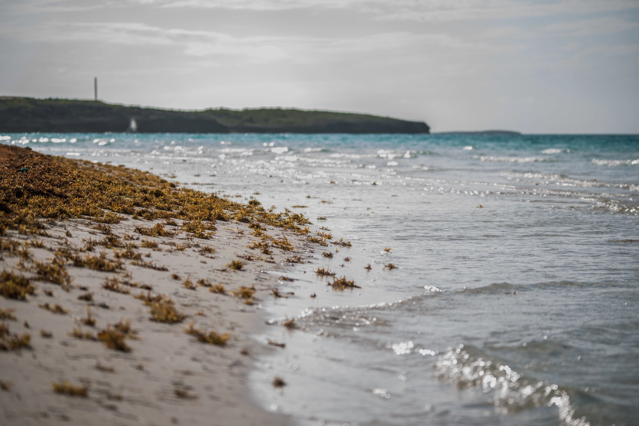 Sigma 120-400mm F4.5-5.6 DG OS HSM sample photo. Playa cayo guillermo photography