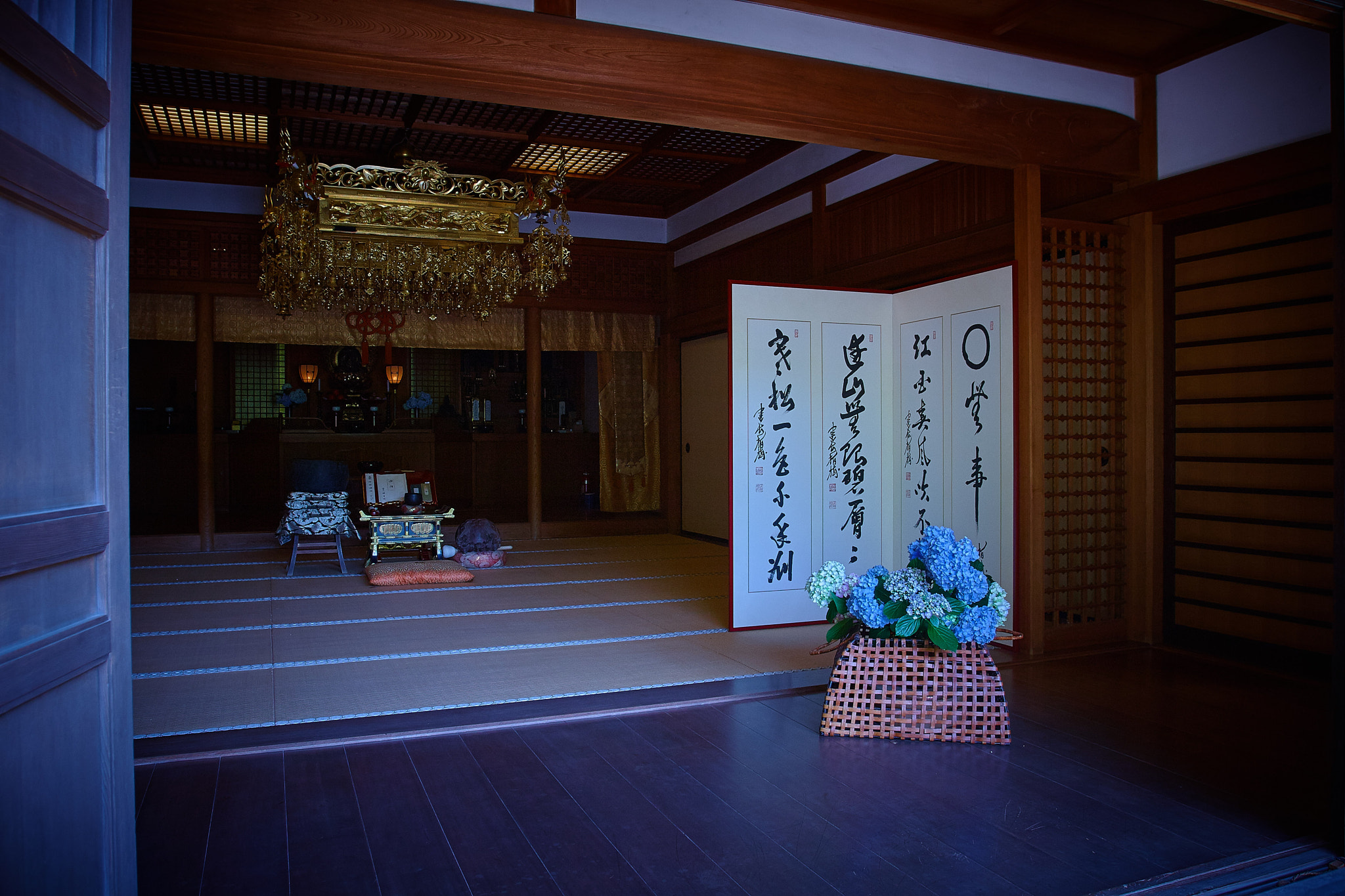 Canon EOS 30D + Canon EF 16-35mm F2.8L USM sample photo. Hydrangea temple photography