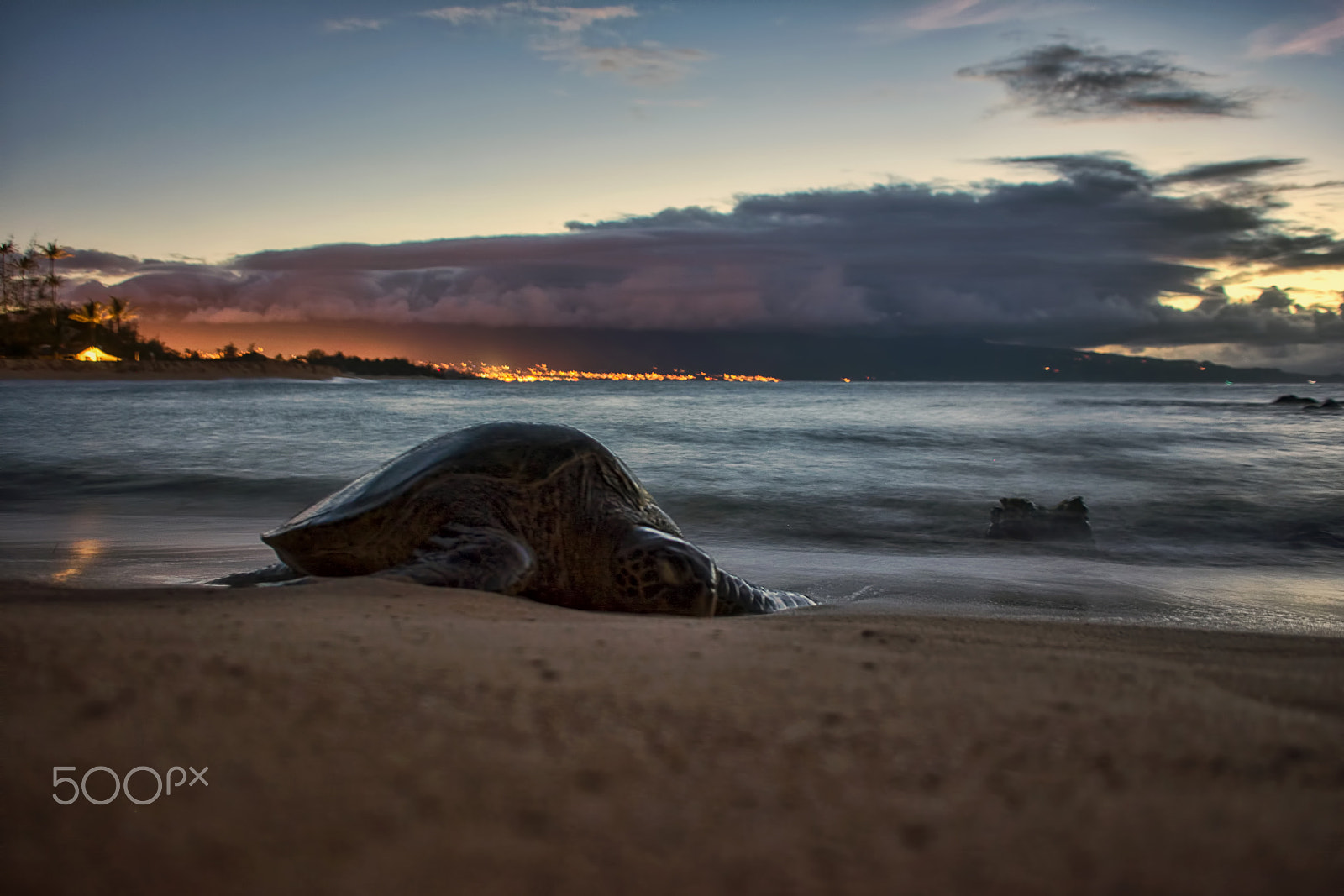 Sigma 18-50mm F2.8-4.5 DC OS HSM sample photo. Nature at the edge photography
