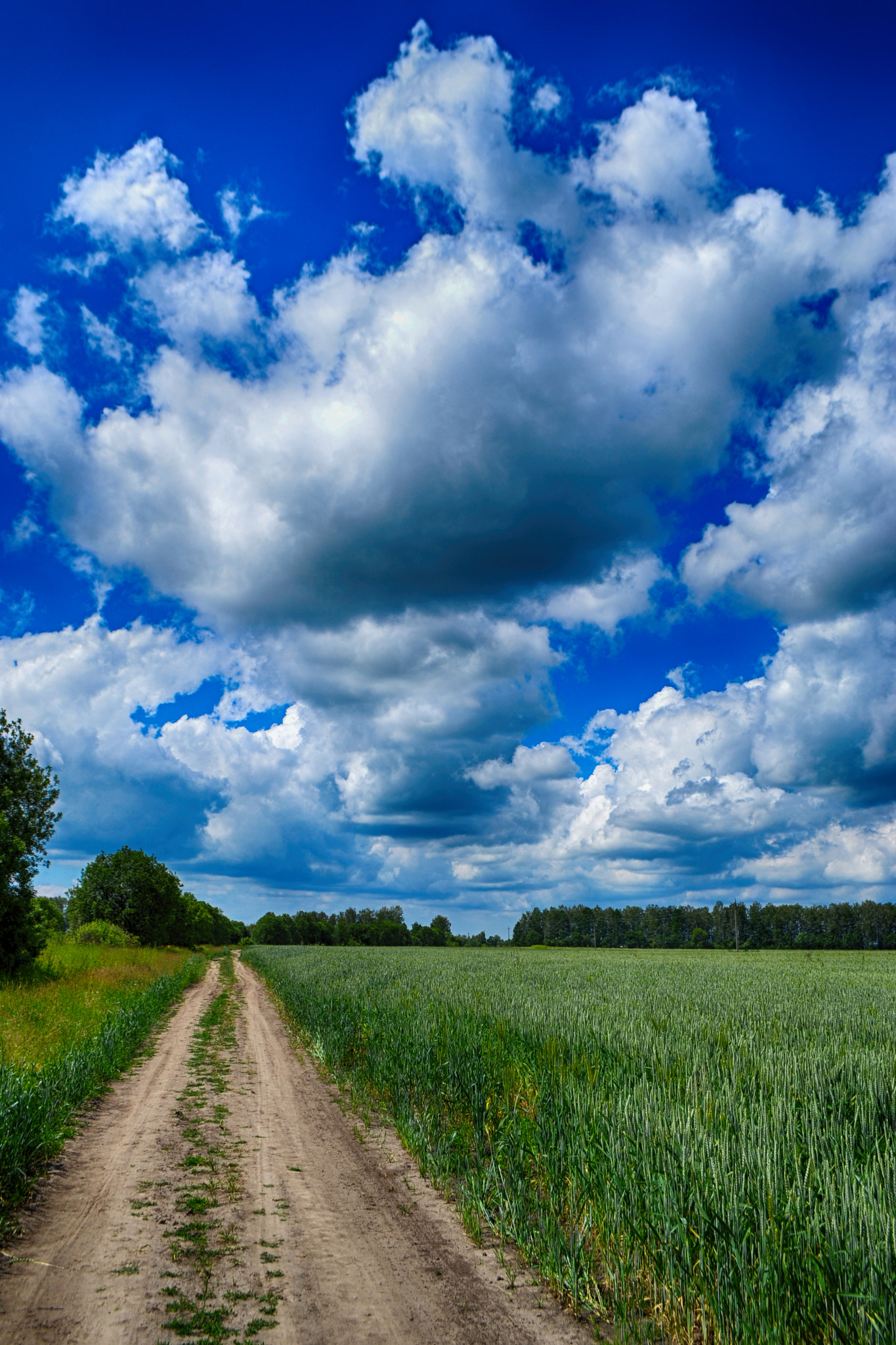 Nikon D3100 + Nikkor 500mm f/4 P ED IF sample photo. Clouds photography