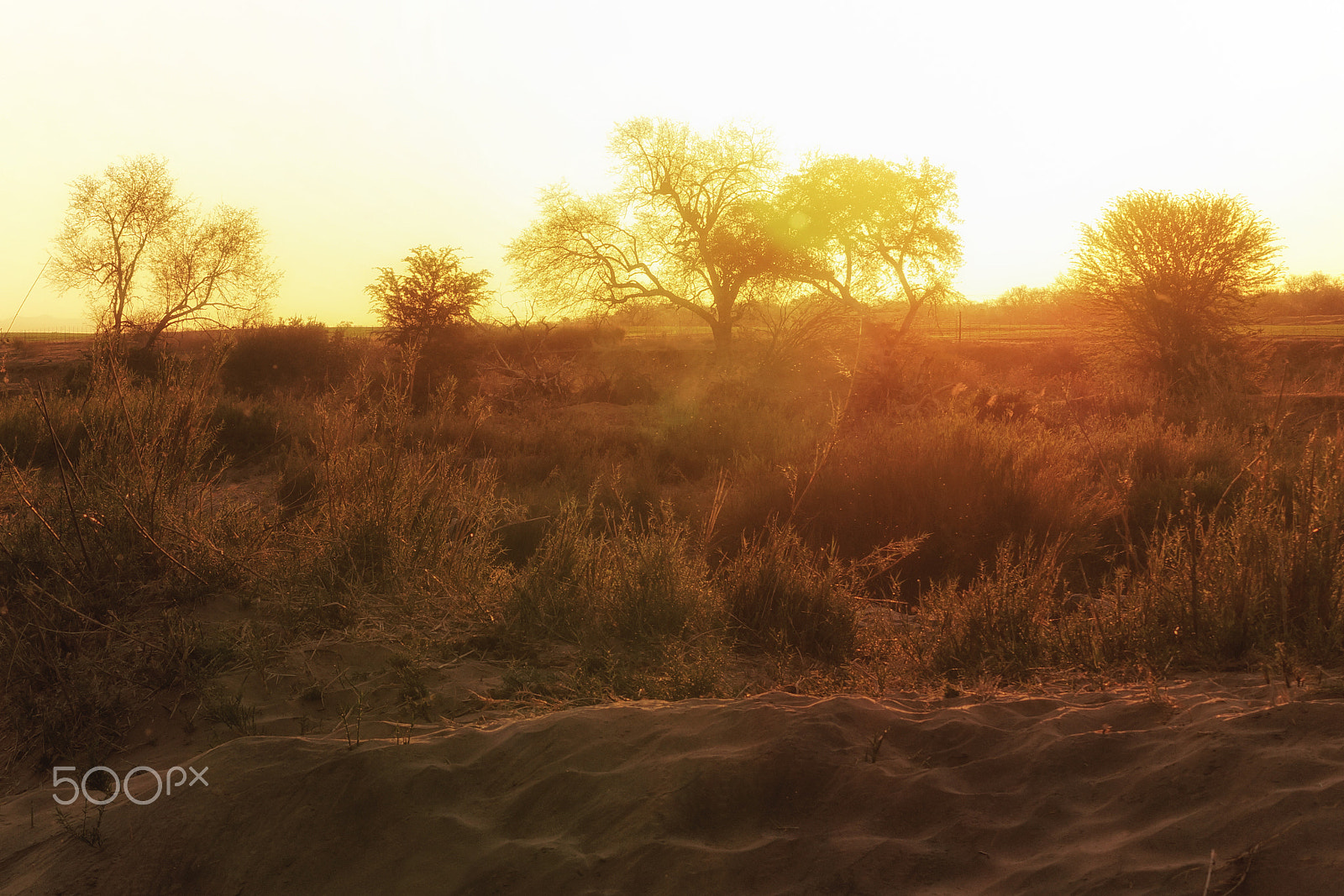 Sony SLT-A57 + Sony DT 55-200mm F4-5.6 SAM sample photo. African sundown photography