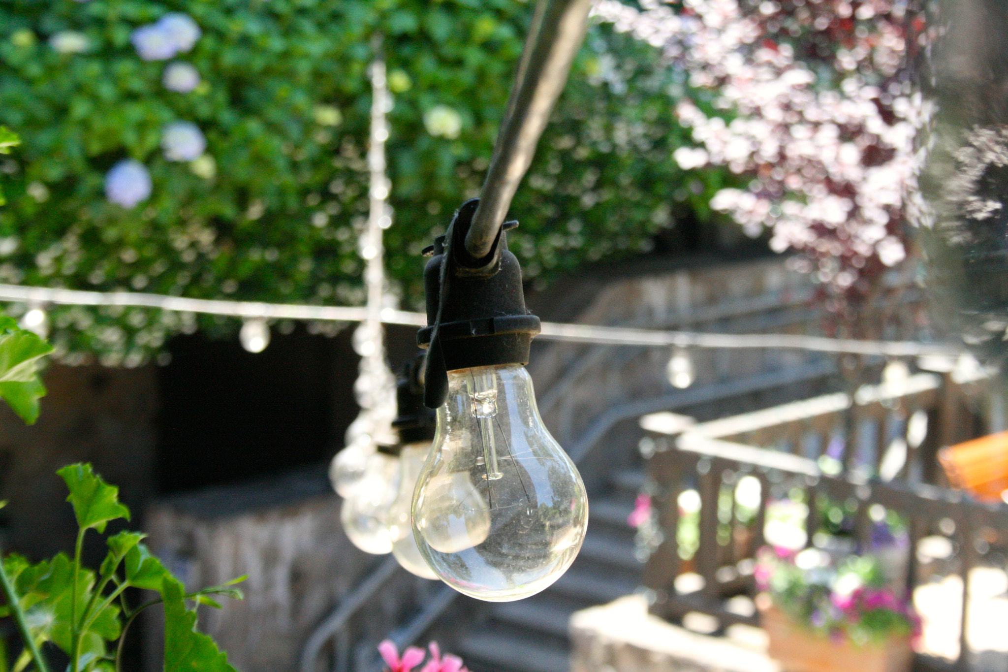 Canon EF-S 18-55mm F3.5-5.6 sample photo. V. sattui winery, napa, ca photography