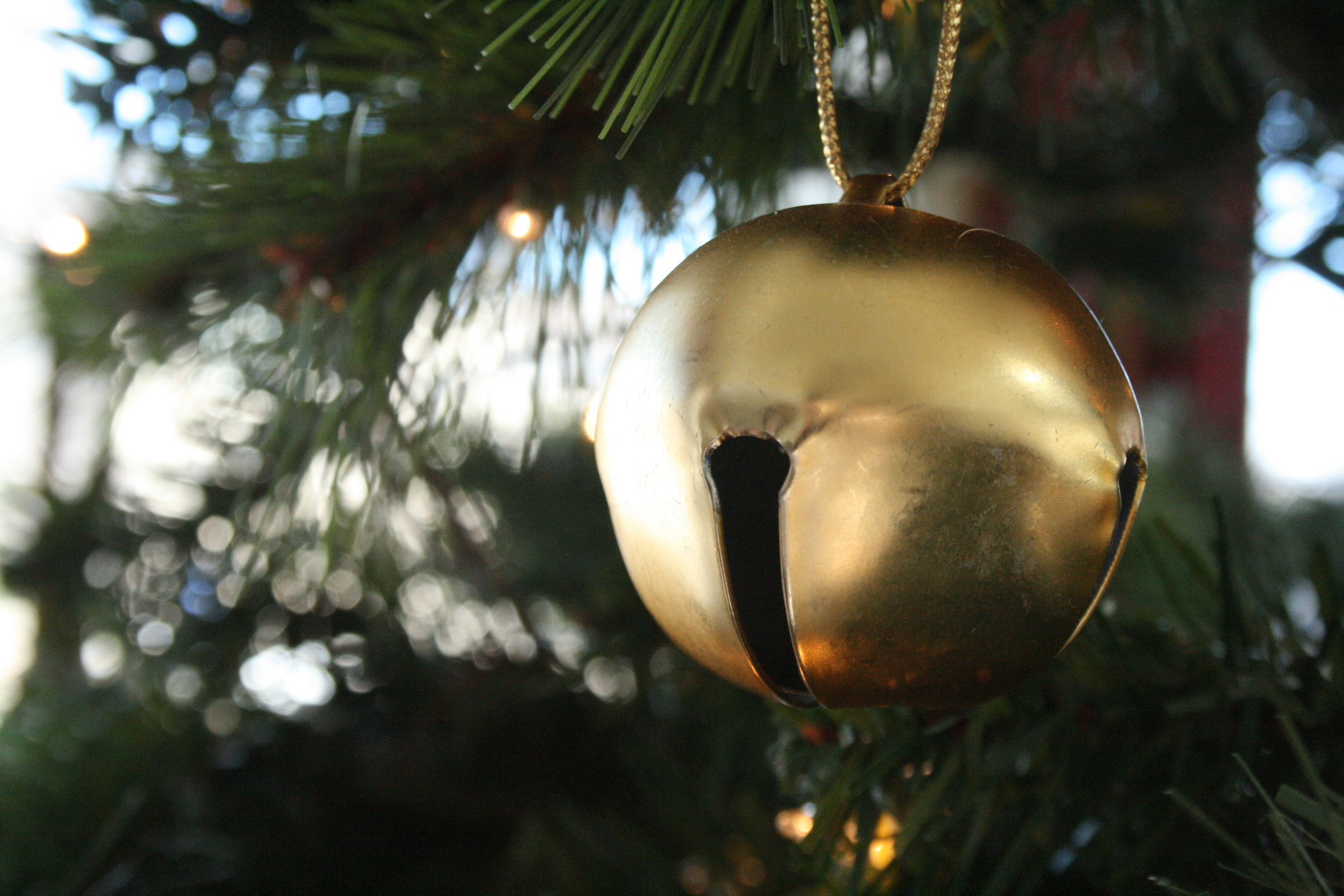 Canon EF-S 18-55mm F3.5-5.6 sample photo. Christmas time photography