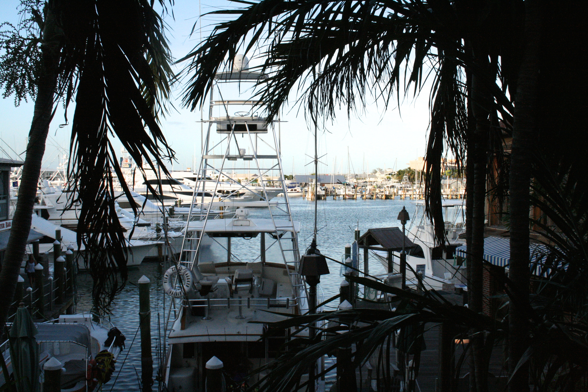 Canon EF-S 18-55mm F3.5-5.6 sample photo. Key west, fl photography