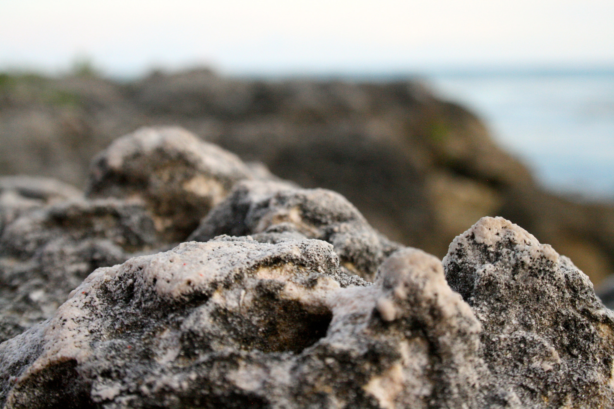 Canon EF-S 18-55mm F3.5-5.6 sample photo. Ocean views photography