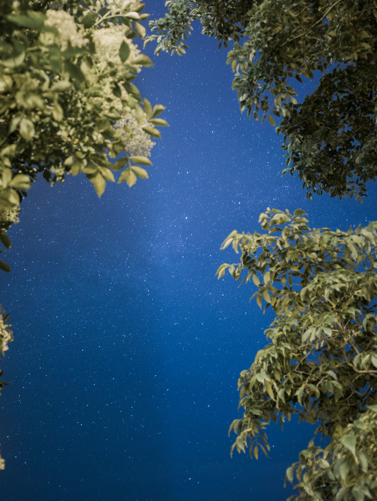 Canon EOS 6D + Canon EF 24mm F2.8 sample photo. Looking for the stars 4 photography
