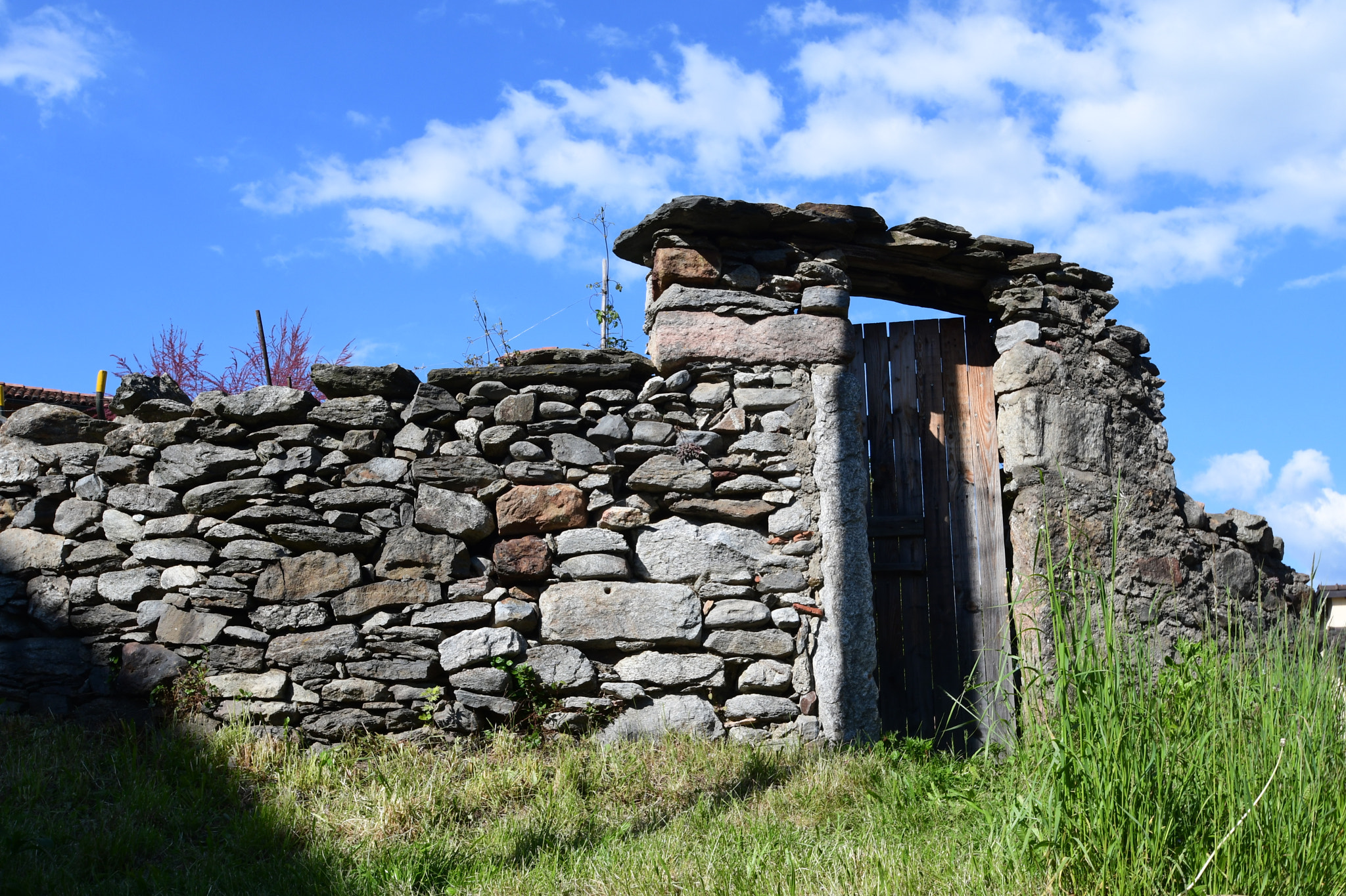 Nikon D500 sample photo. La porte du jardin.. photography