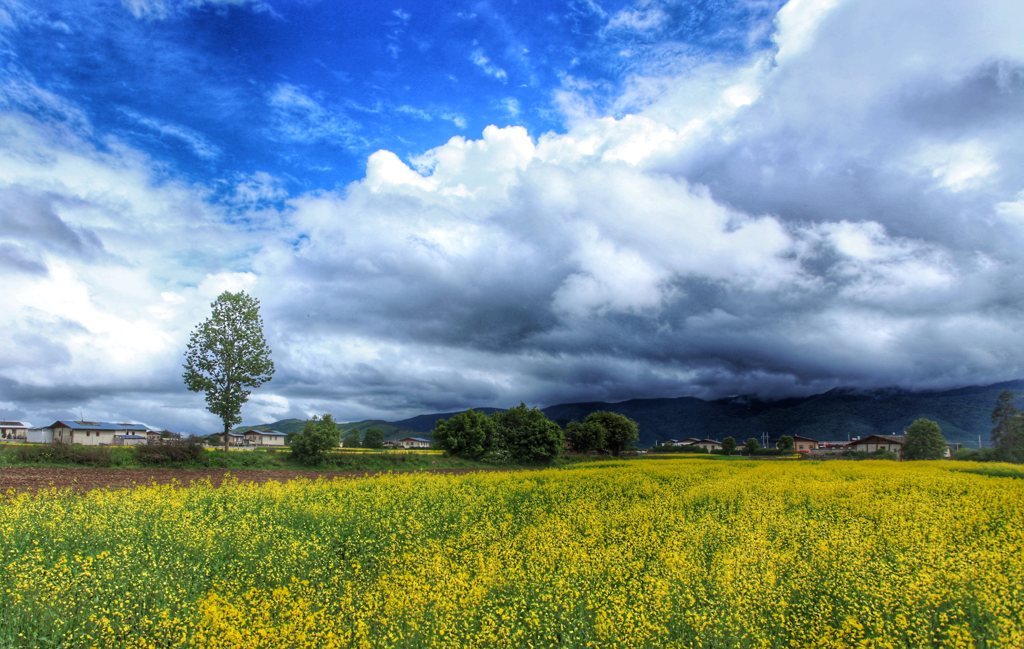 Canon EF 17-40mm F4L USM sample photo. 香格里拉 photography