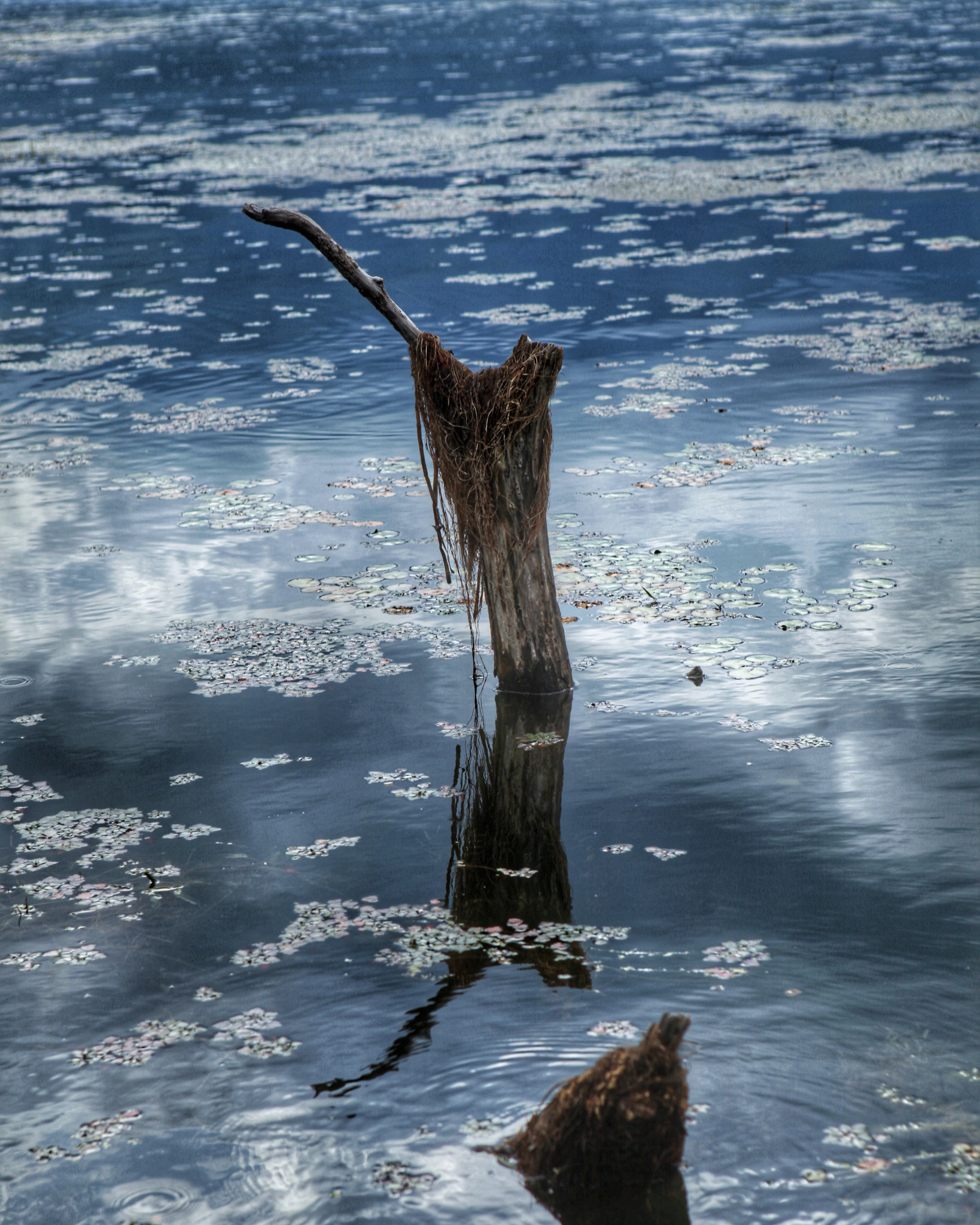 Canon EF 24-70mm F2.8L USM sample photo. 洱海 photography