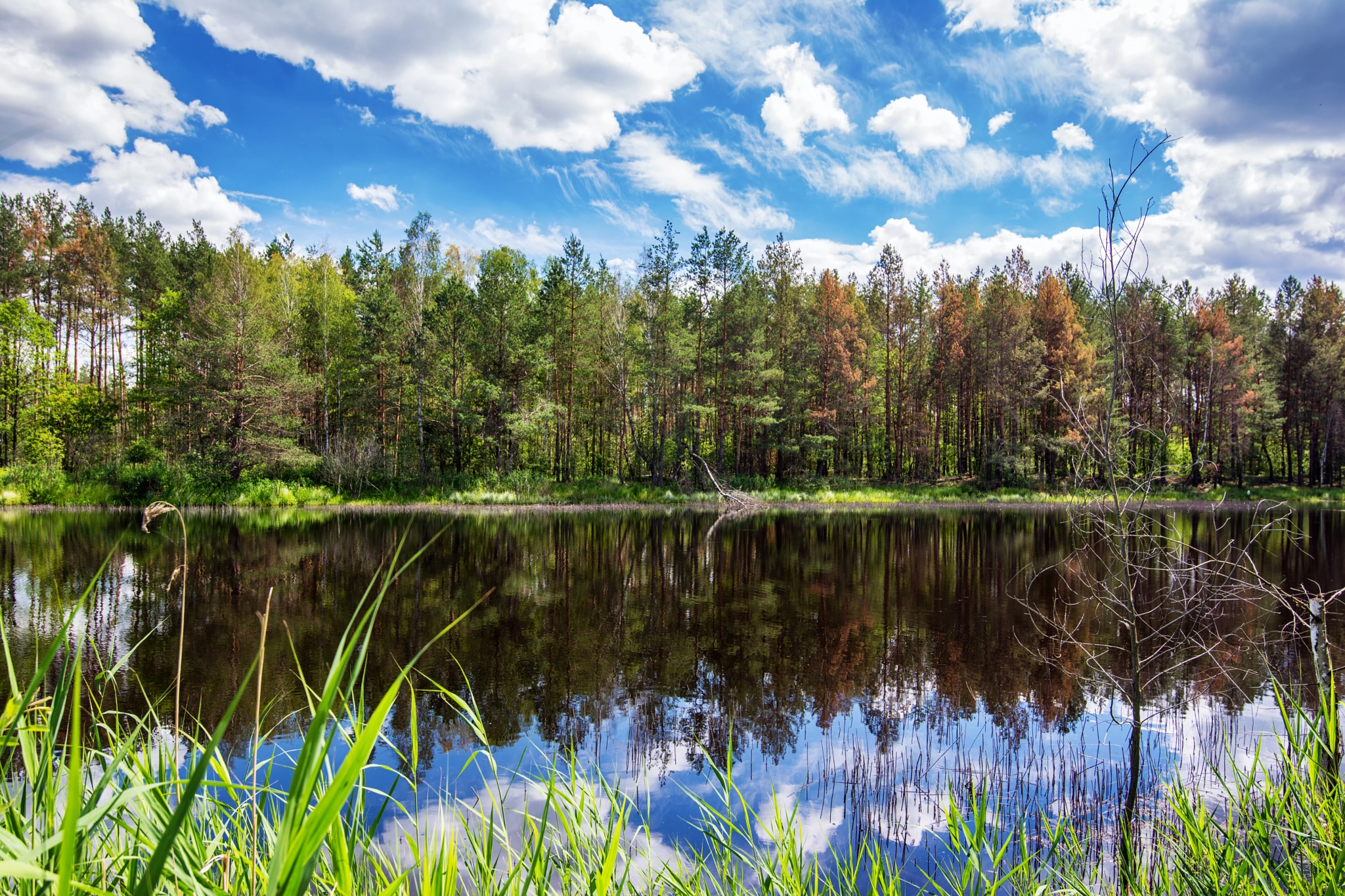 Nikon AF-S Nikkor 16-35mm F4G ED VR sample photo. Ukrainian nature photography