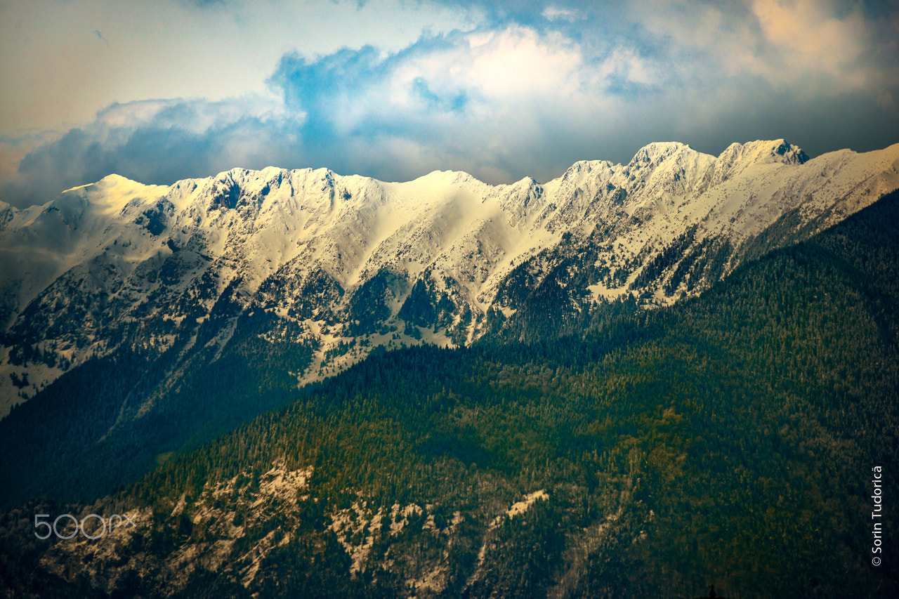 Sigma 150-500mm F5-6.3 DG OS HSM sample photo. Stone mountain - piatra craiului, romania, brasov photography