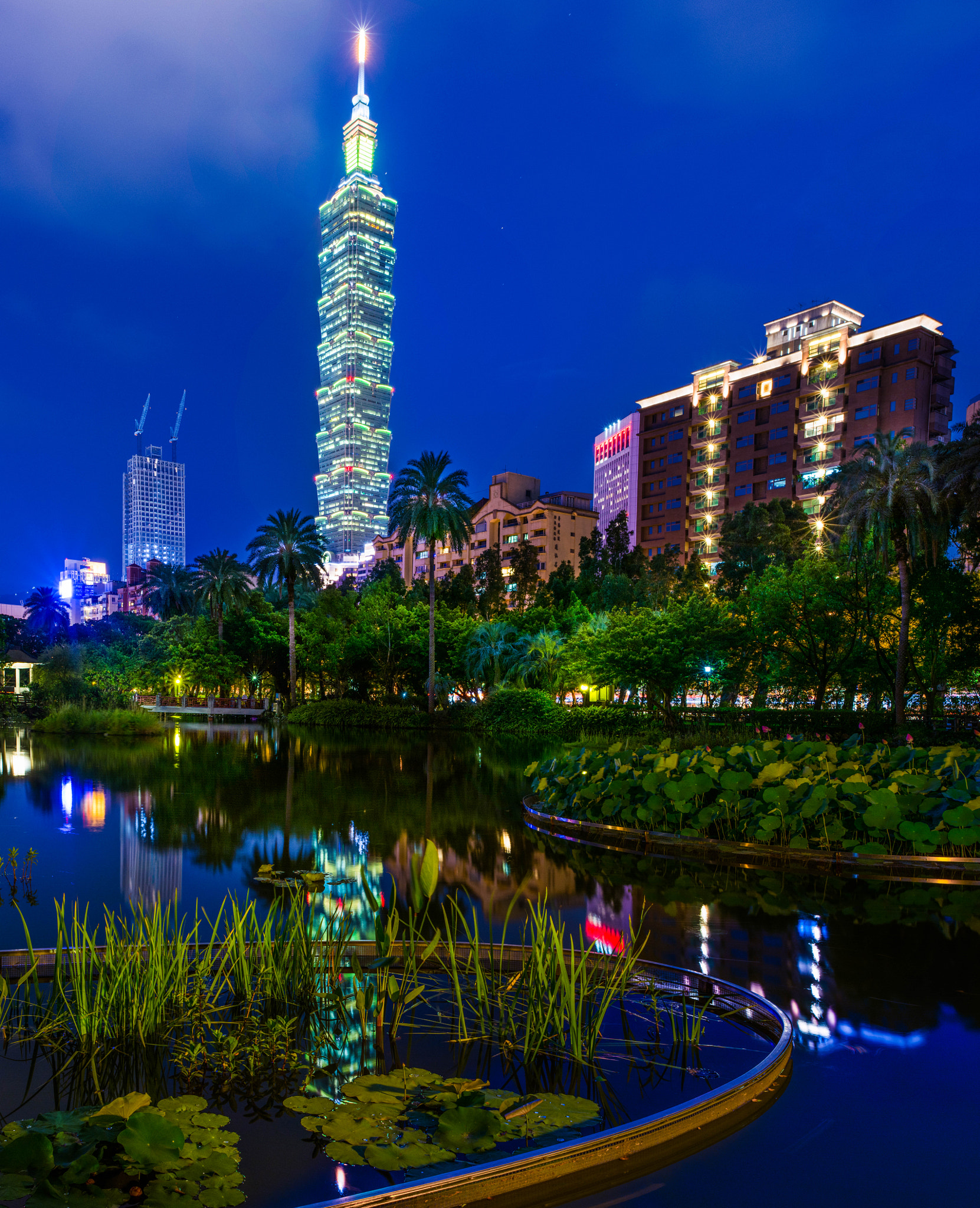 Nikon AF-S Nikkor 24mm F1.8G ED sample photo. Taipei 101 night view photography