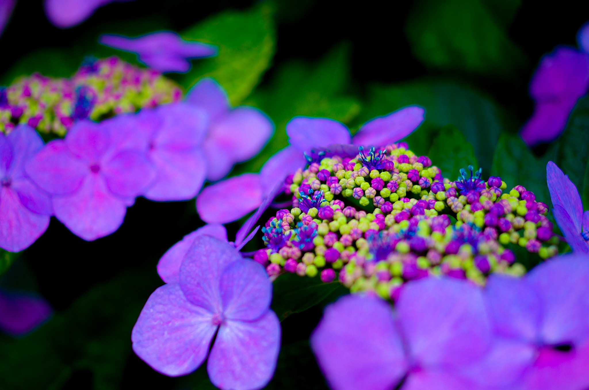 Pentax K-5 IIs sample photo