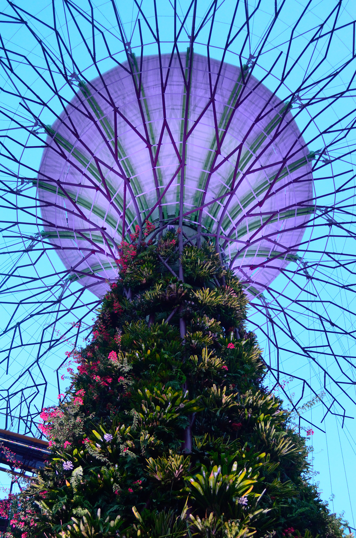 AF Zoom-Nikkor 28-80mm f/3.5-5.6D sample photo. Garden by the bay photography