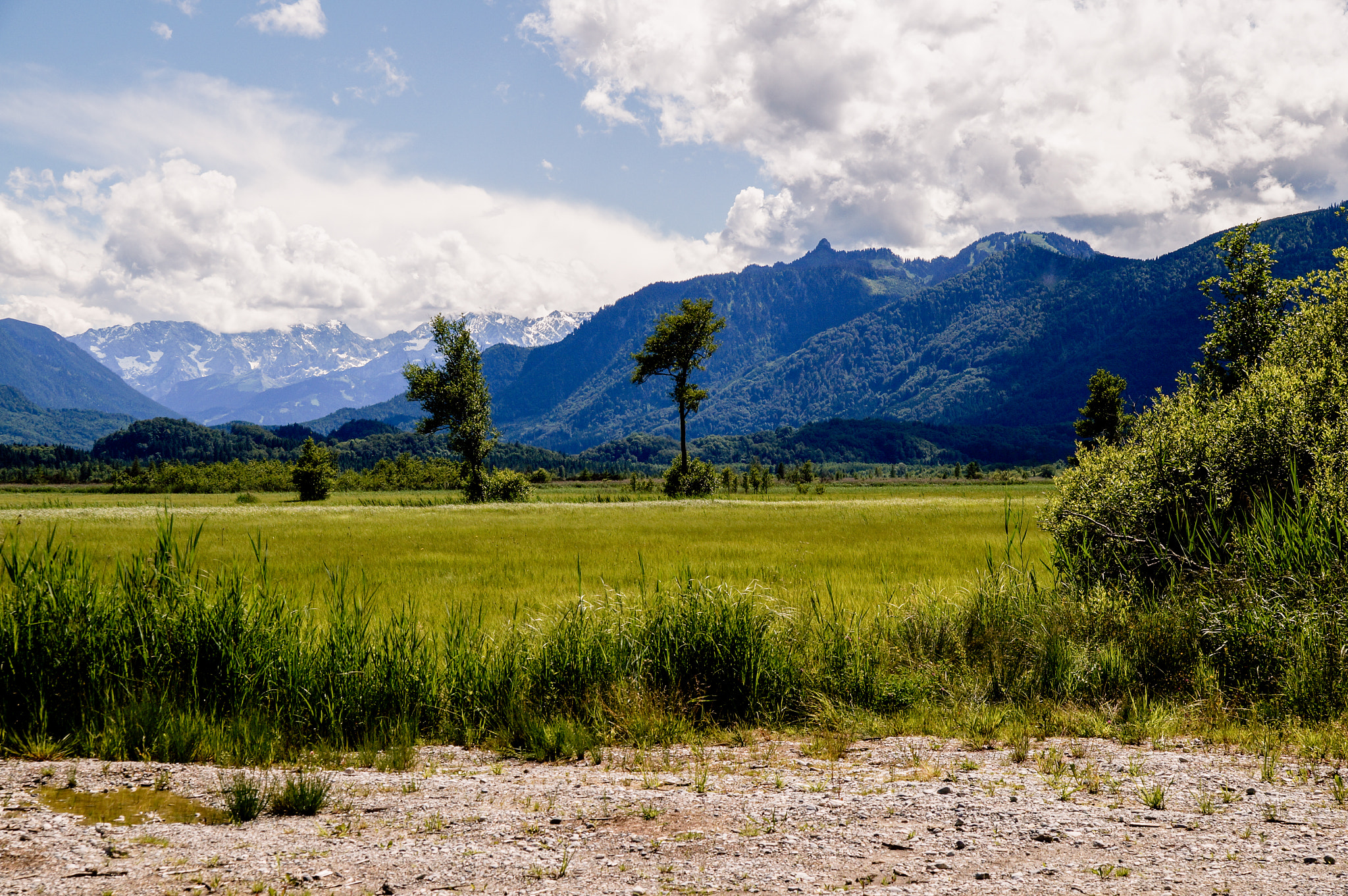 Sony SLT-A57 sample photo. Murnauer moos photography