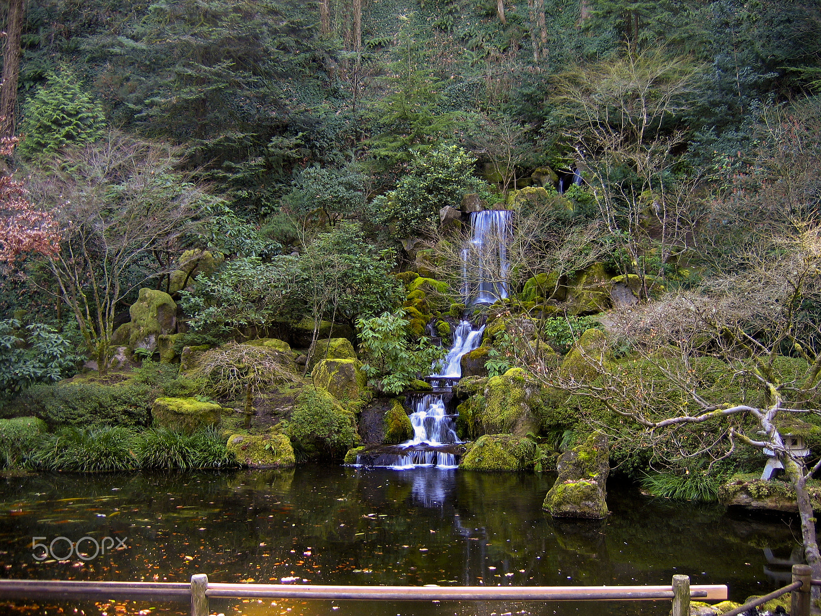 Canon POWERSHOT A95 sample photo. Japanese garden portland photography