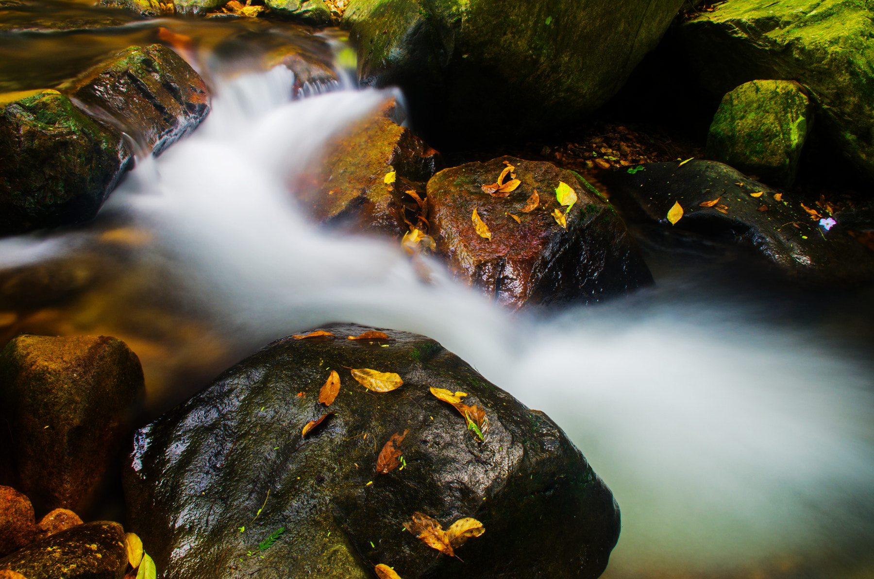 Pentax K-5 II sample photo. ... photography