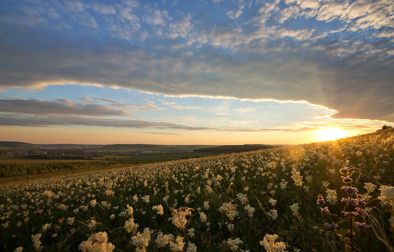 Sigma AF 10-20mm F4-5.6 EX DC sample photo. *** photography