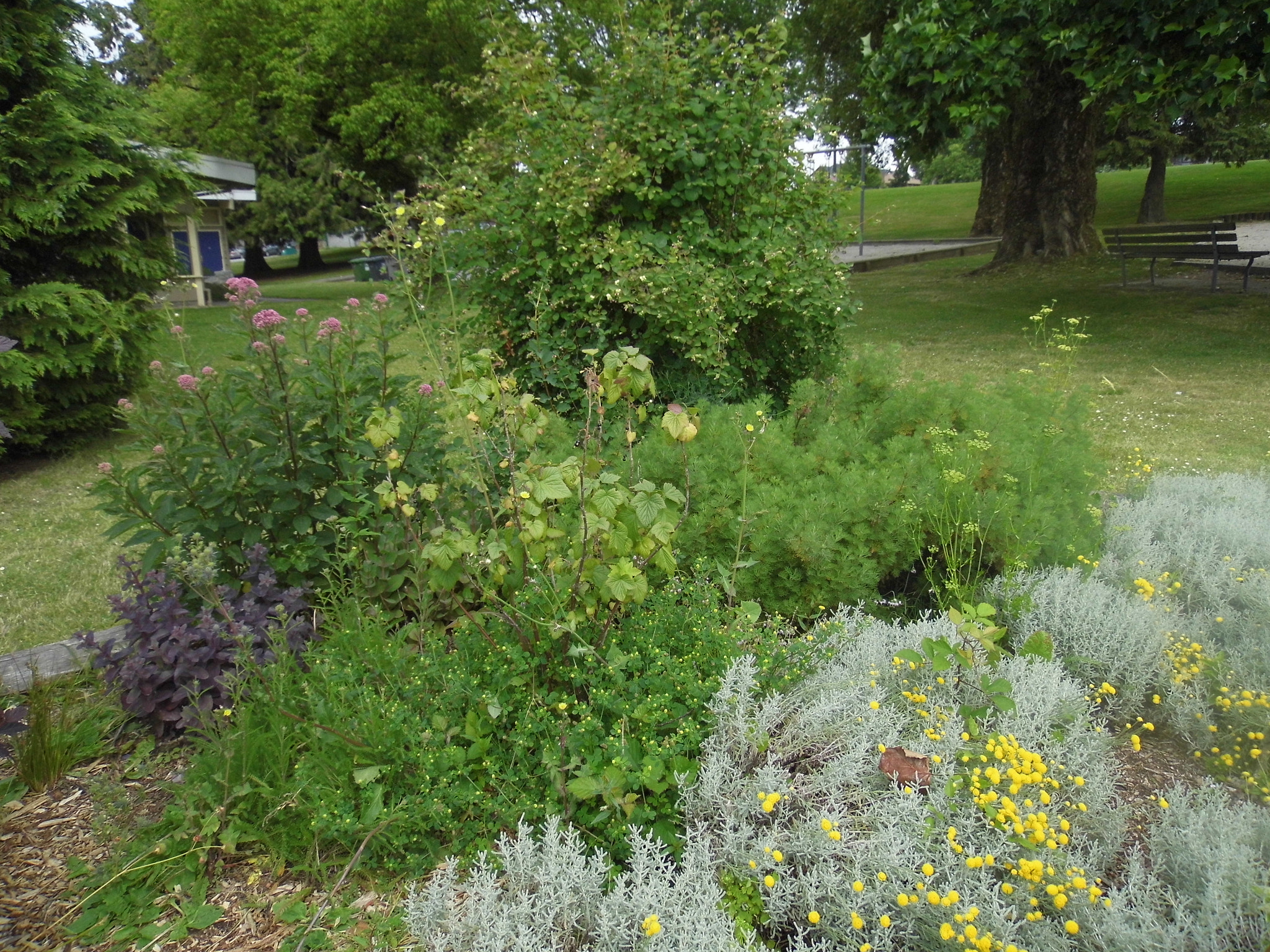 Panasonic Lumix DMC-LZ30 sample photo. Carol both_moberly park_june 22 photography