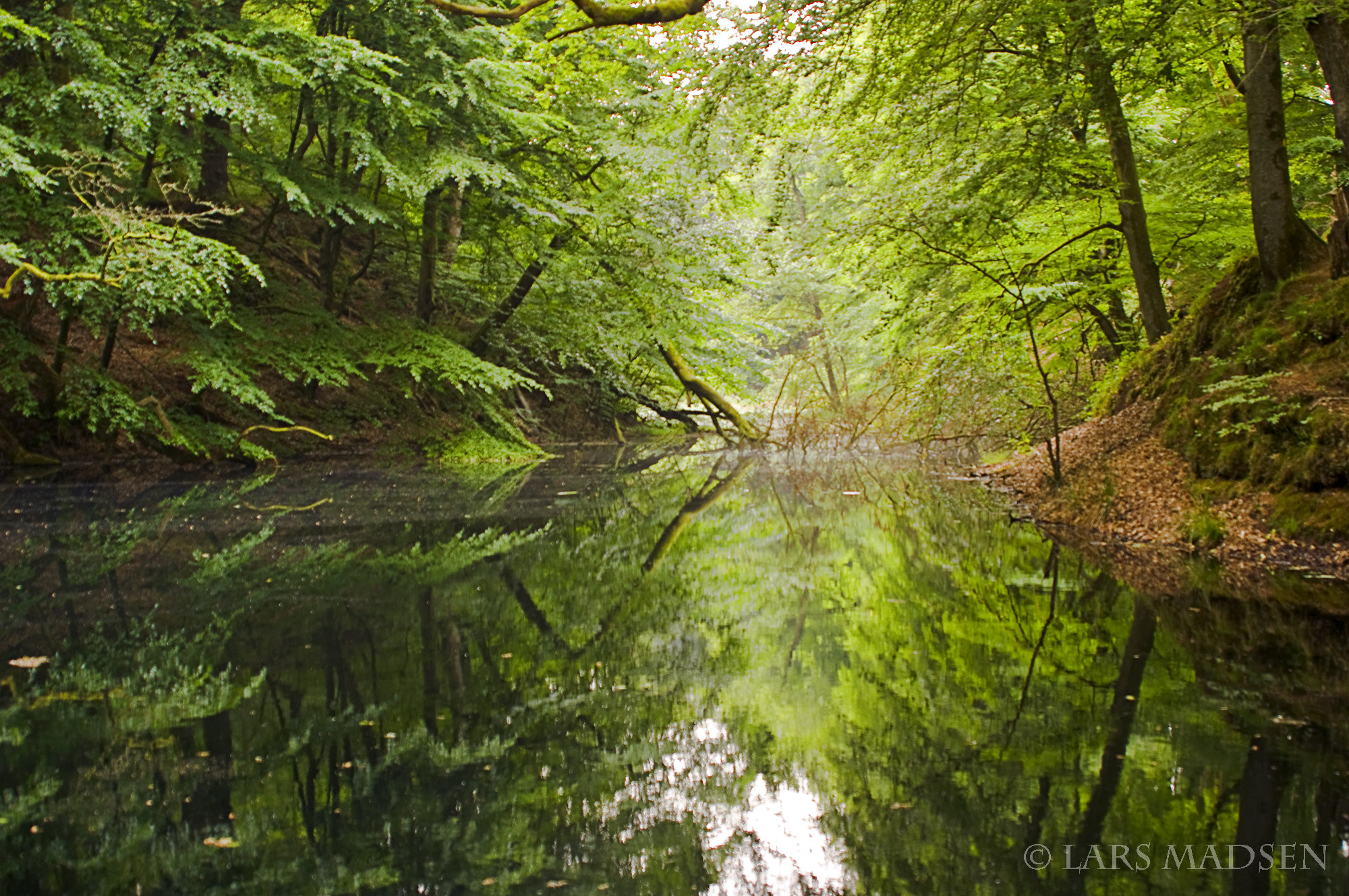 Pentax K20D + smc PENTAX-F 35-105mm F4-5.6 sample photo. Moelledammen photography