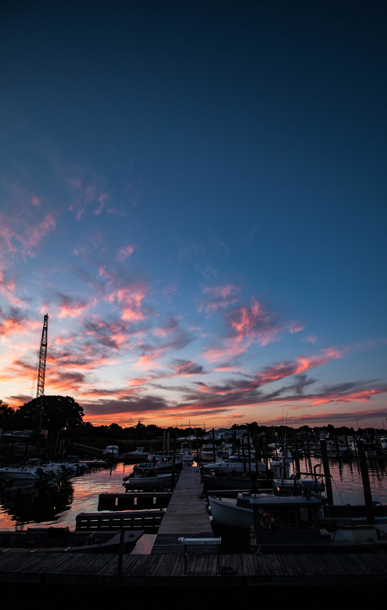 Canon EF-S 10-18mm F4.5–5.6 IS STM sample photo. Cotton candy photography