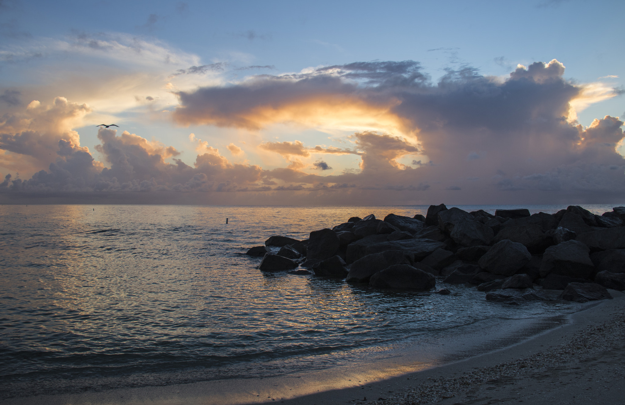 Canon EOS 760D (EOS Rebel T6s / EOS 8000D) sample photo. Rocky morning photography