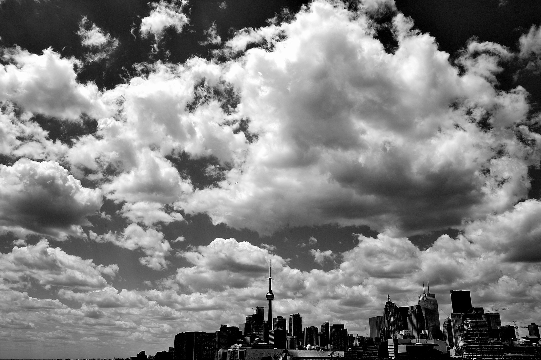 Nikon D50 sample photo. Toronto photography