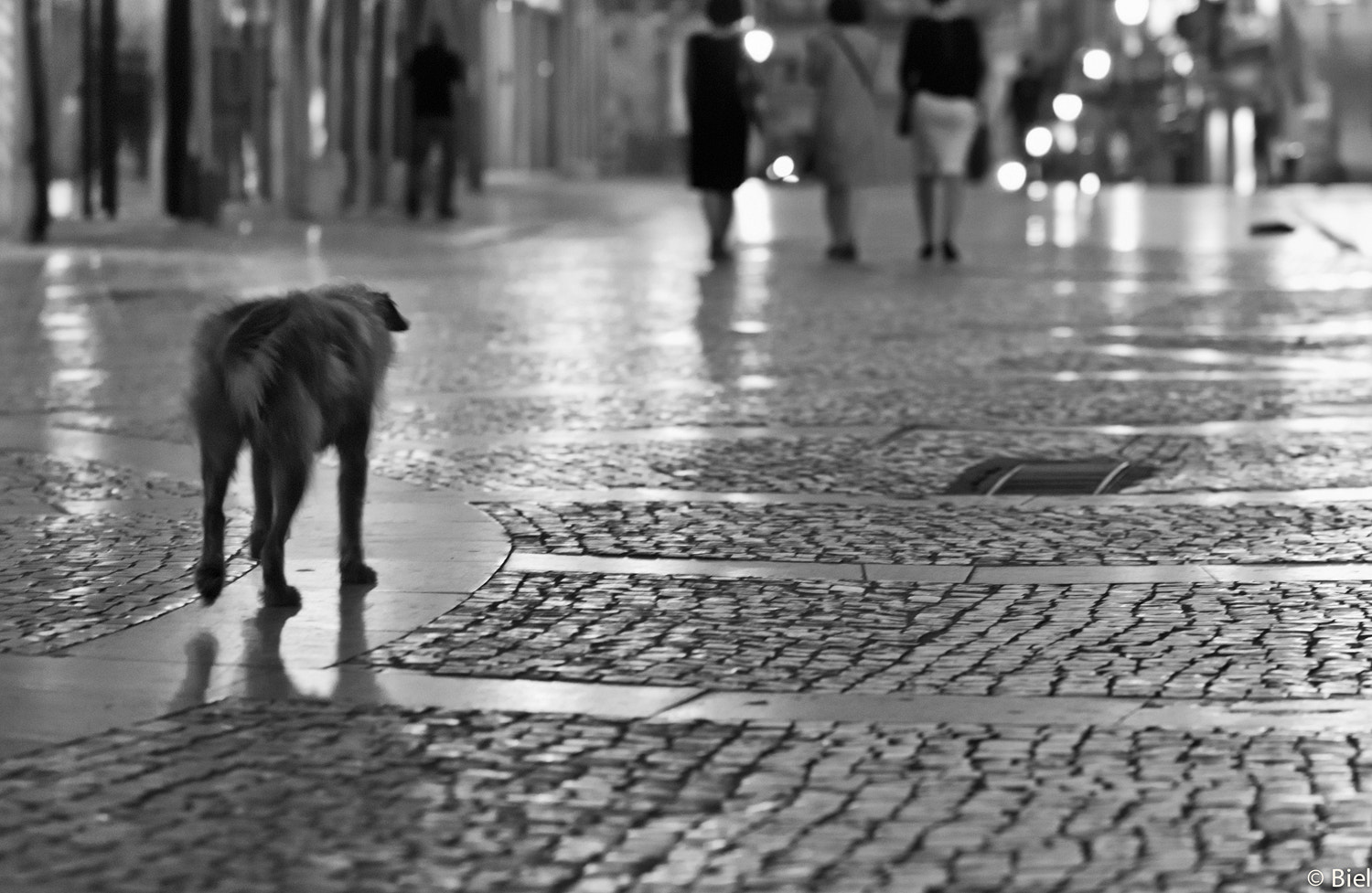 Nikon D80 sample photo. Slowly goes the night photography