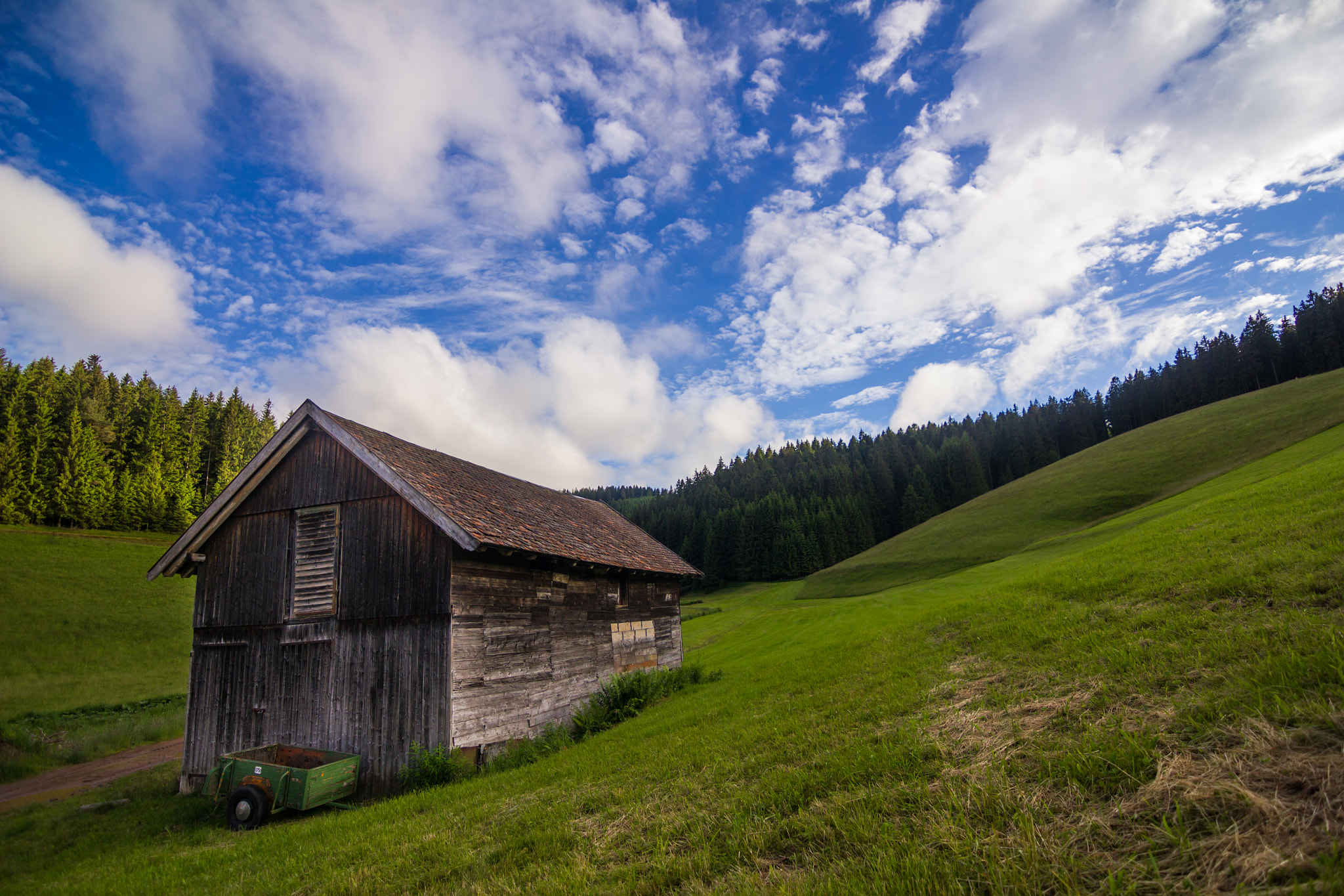 Canon EOS 550D (EOS Rebel T2i / EOS Kiss X4) sample photo. Shed in the green photography
